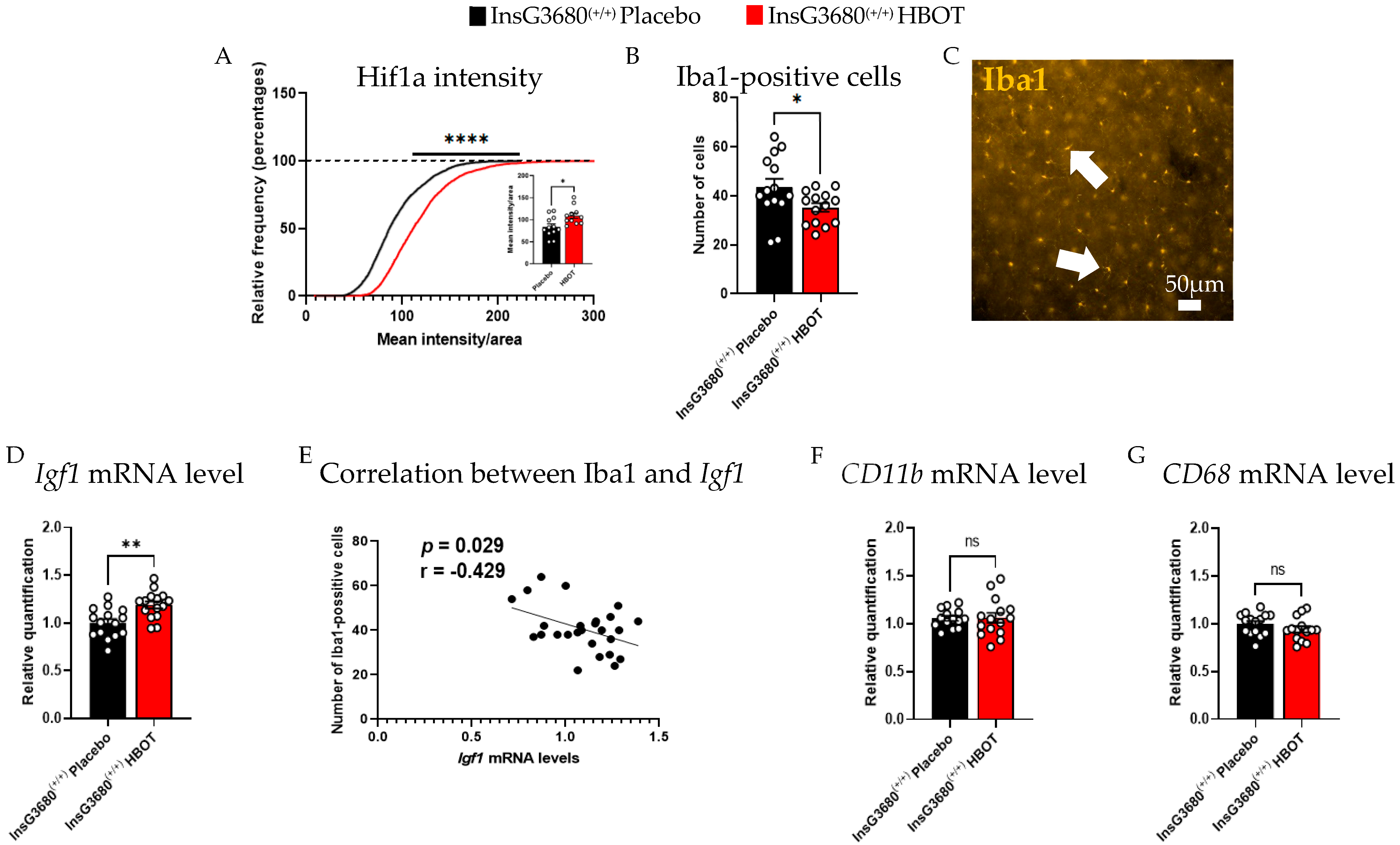 Ijms 23 11077 g003 Ijms 23 11077 g003