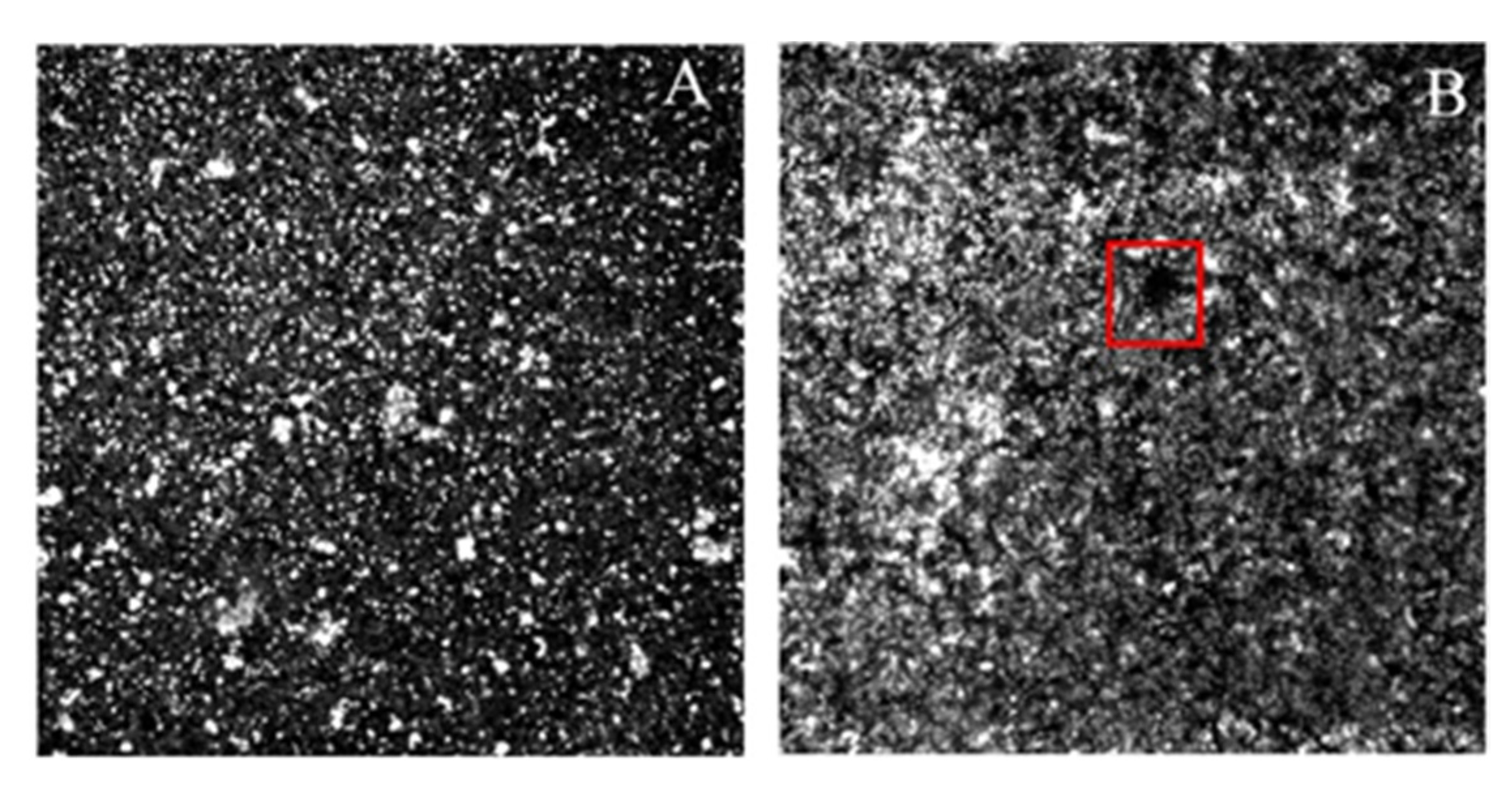 Ijms 23 11094 g010 Ijms 23 11094 g010