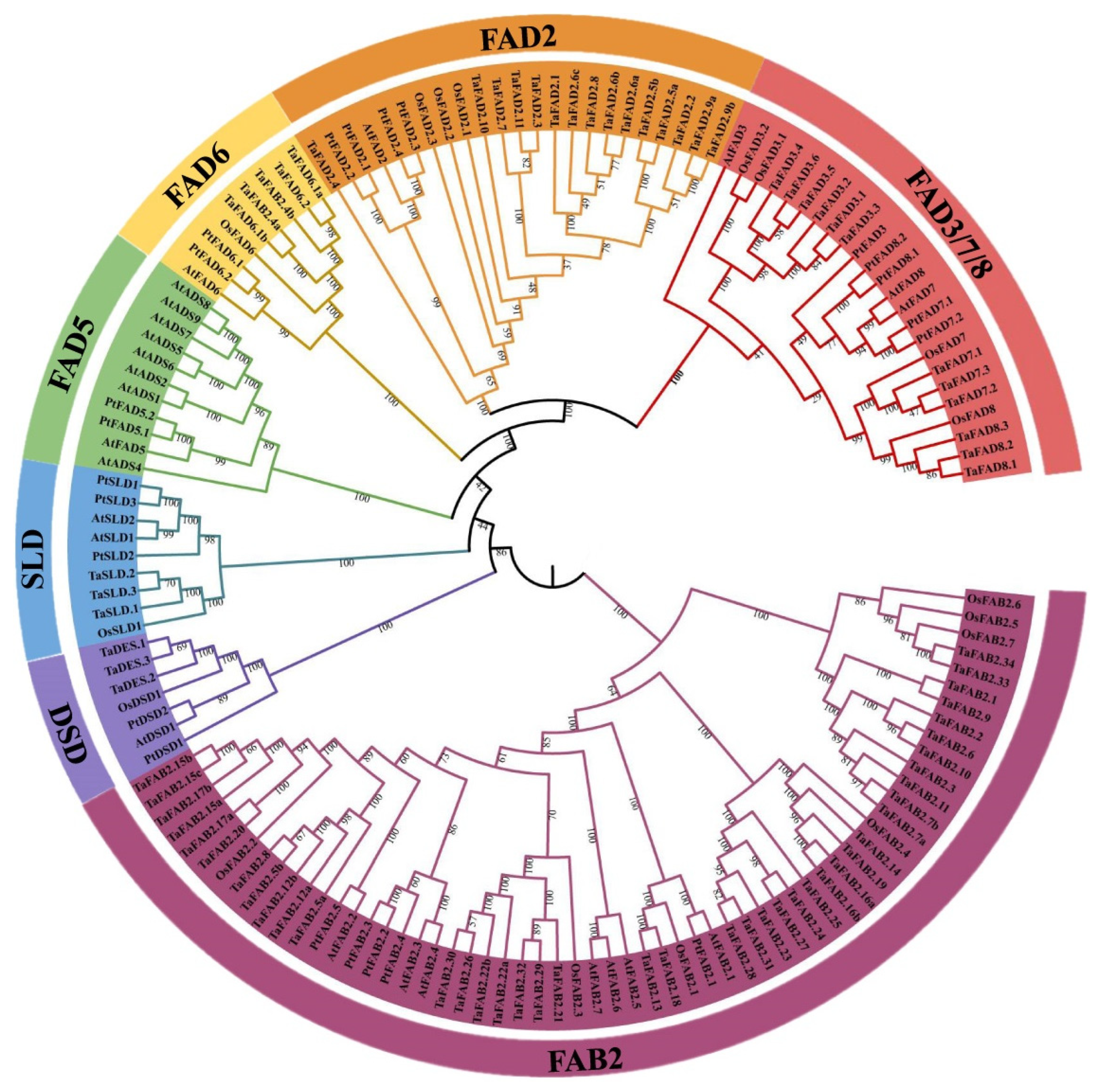Ijms 23 11109 g001 Ijms 23 11109 g001