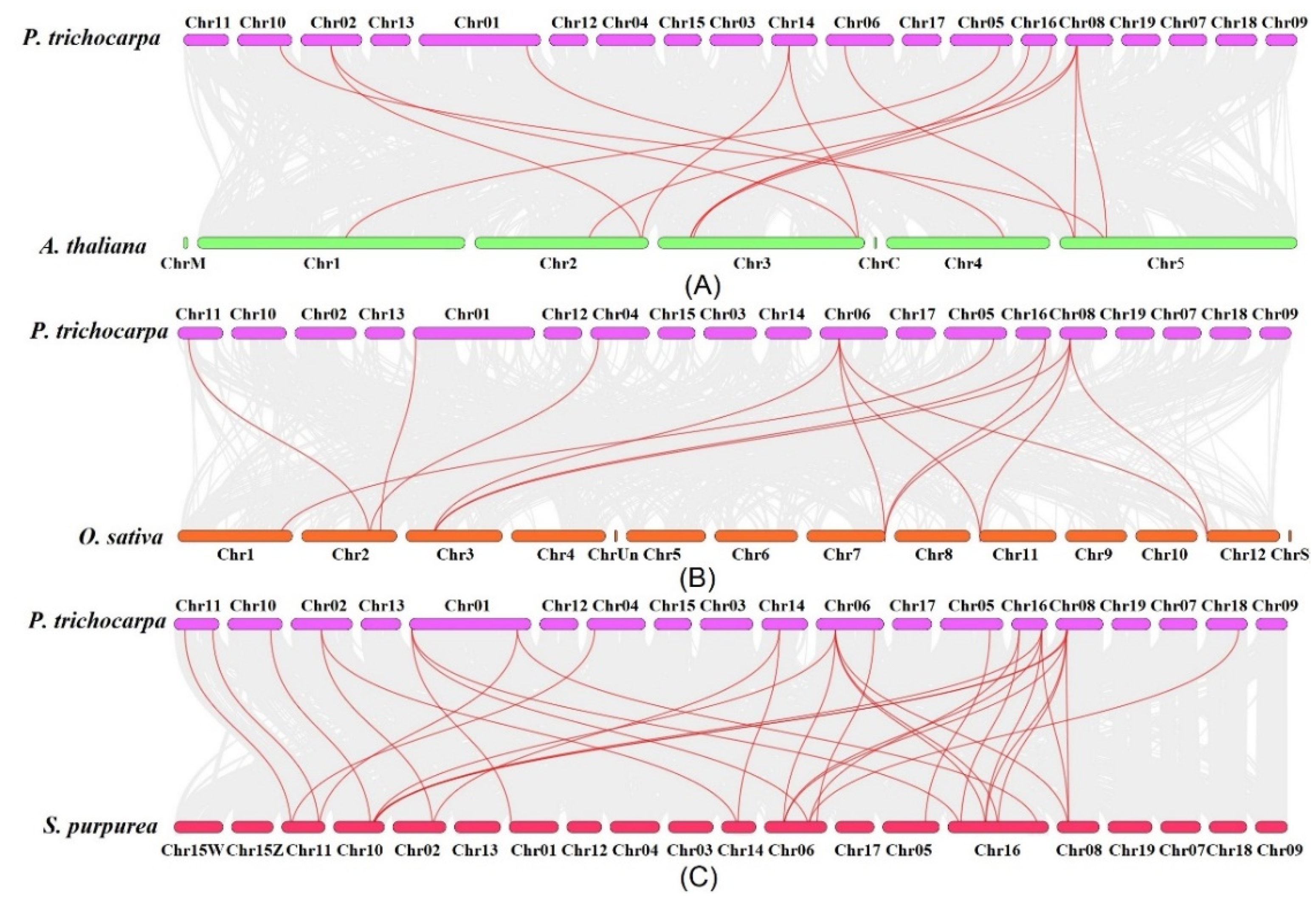 Ijms 23 11109 g003 Ijms 23 11109 g003