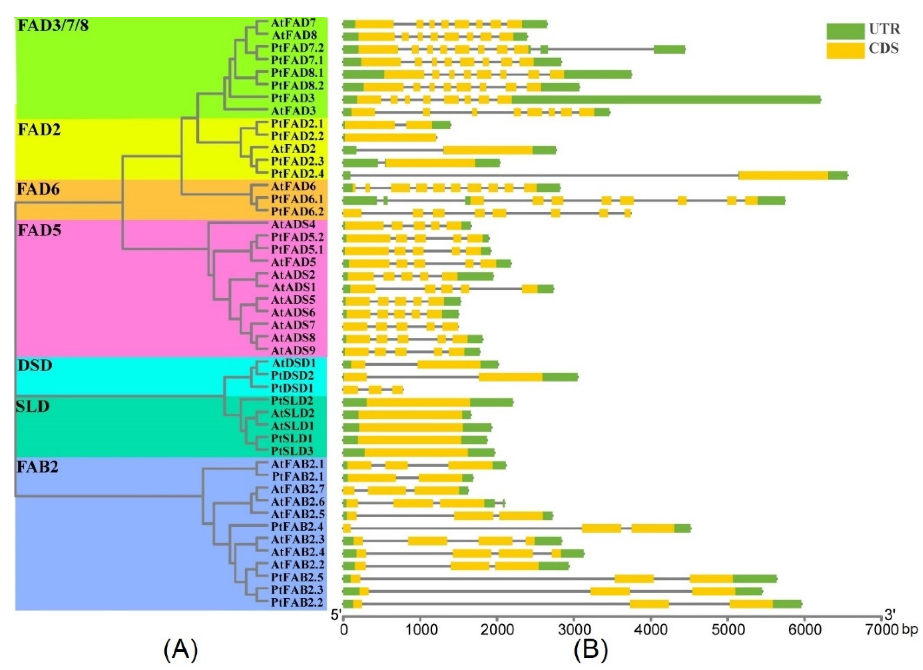 Ijms 23 11109 g004 Ijms 23 11109 g004