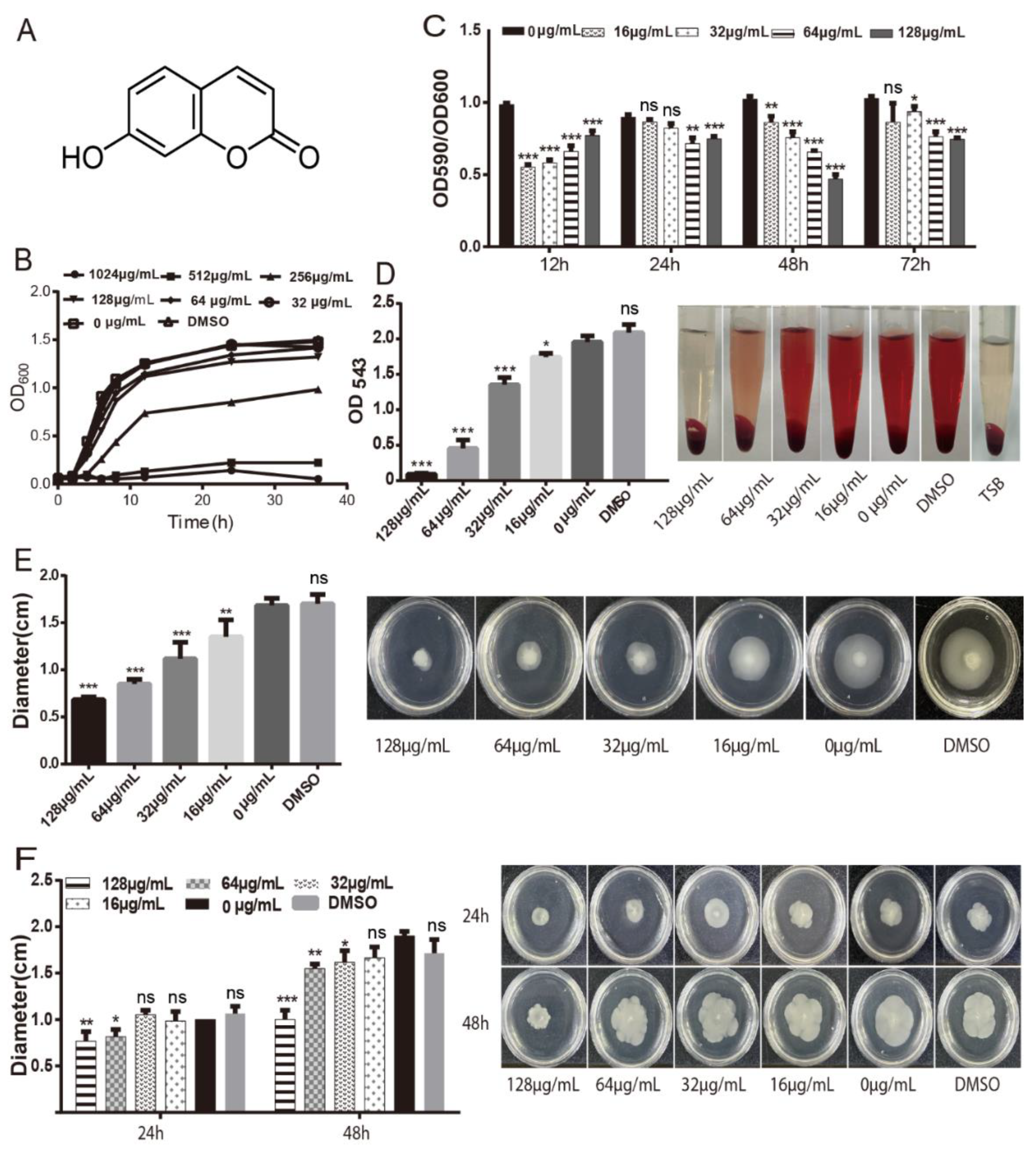 Ijms 23 11119 g001 Ijms 23 11119 g001