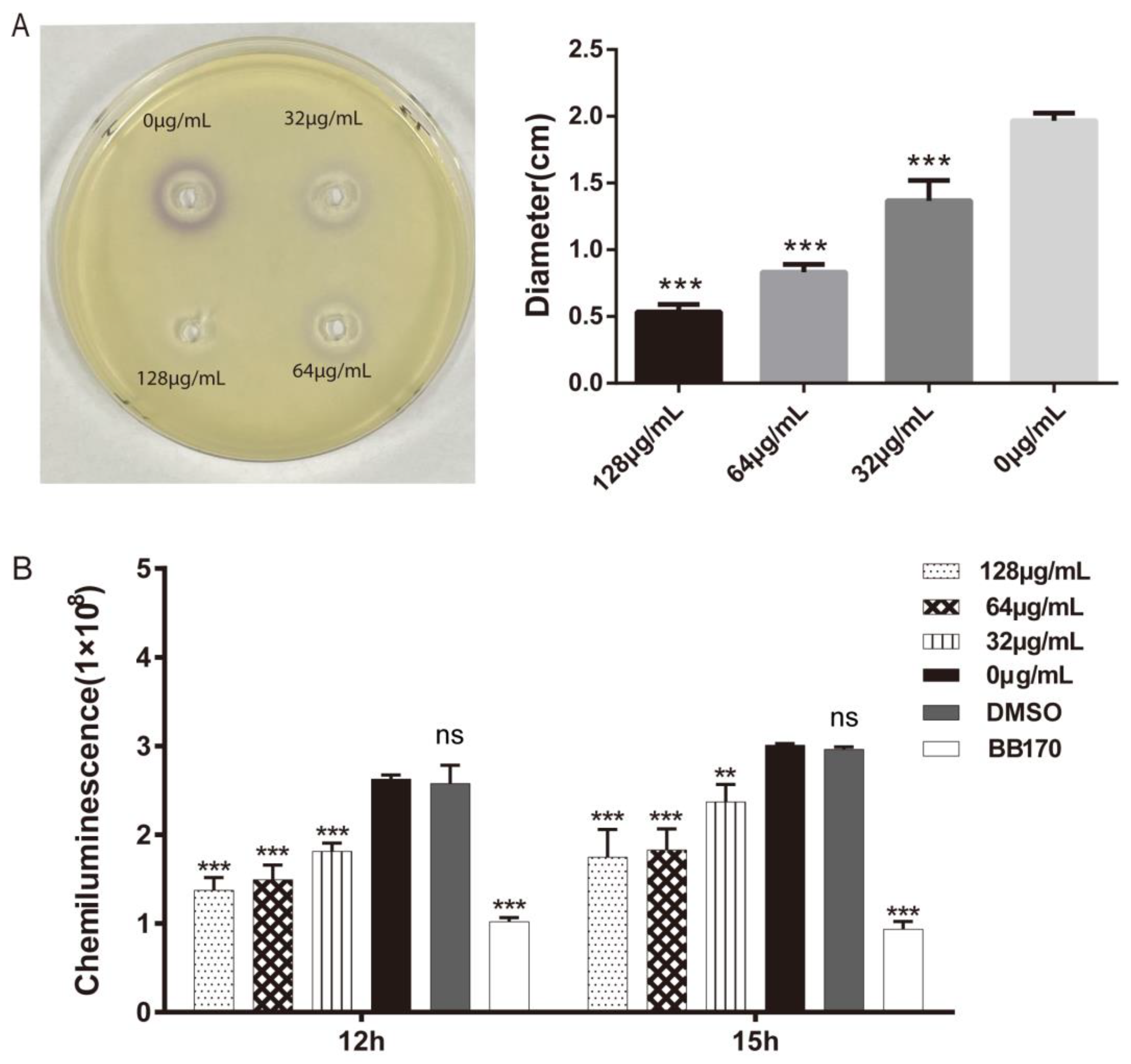 Ijms 23 11119 g002 Ijms 23 11119 g002