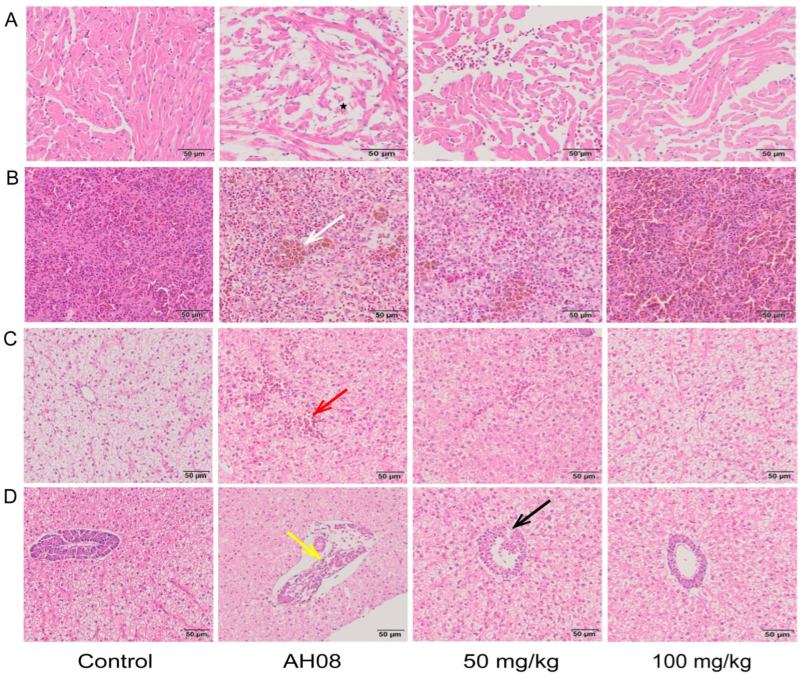 Ijms 23 11119 g006 Ijms 23 11119 g006