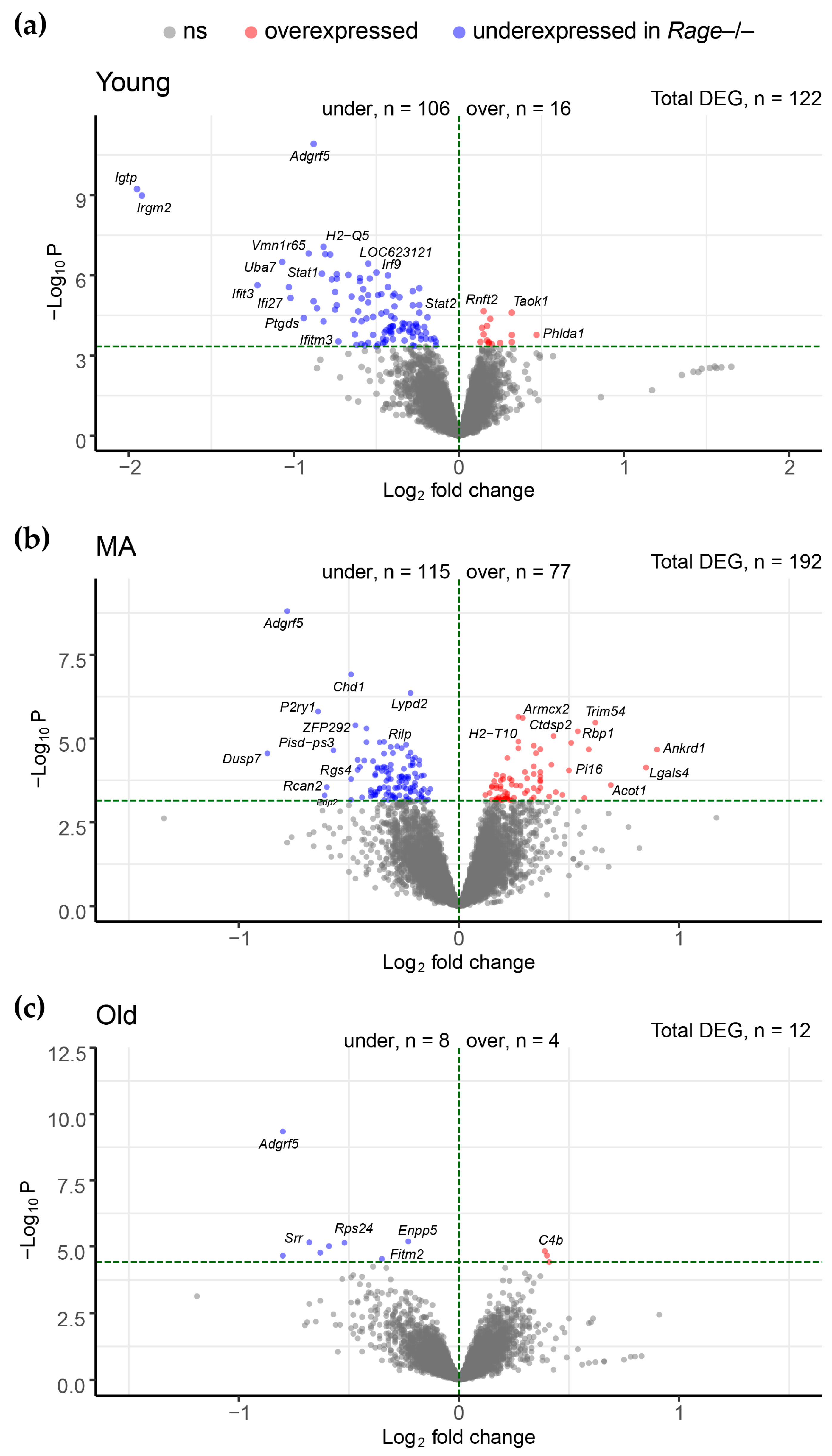 Ijms 23 11130 g002 Ijms 23 11130 g002