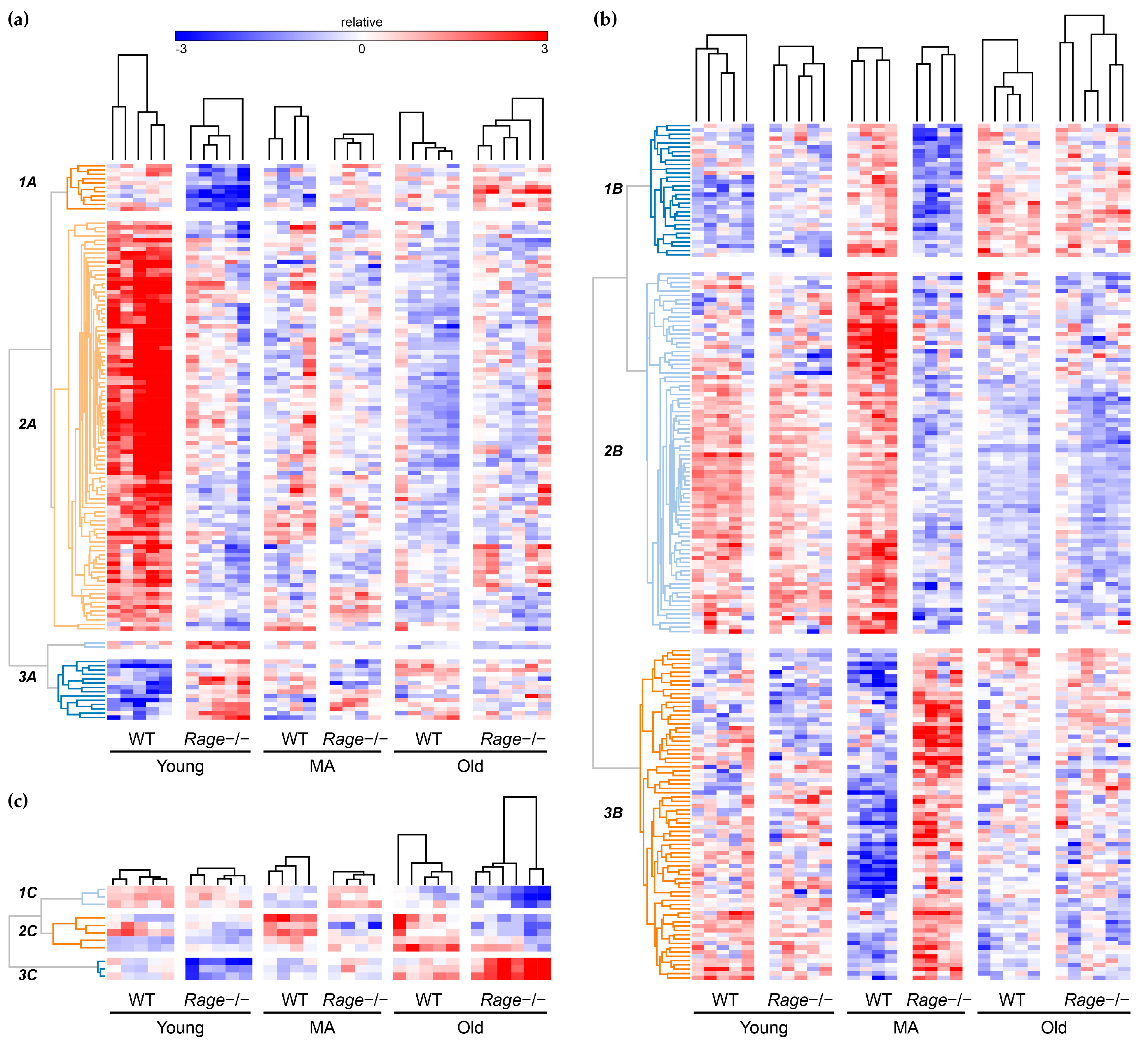 Ijms 23 11130 g003 Ijms 23 11130 g003
