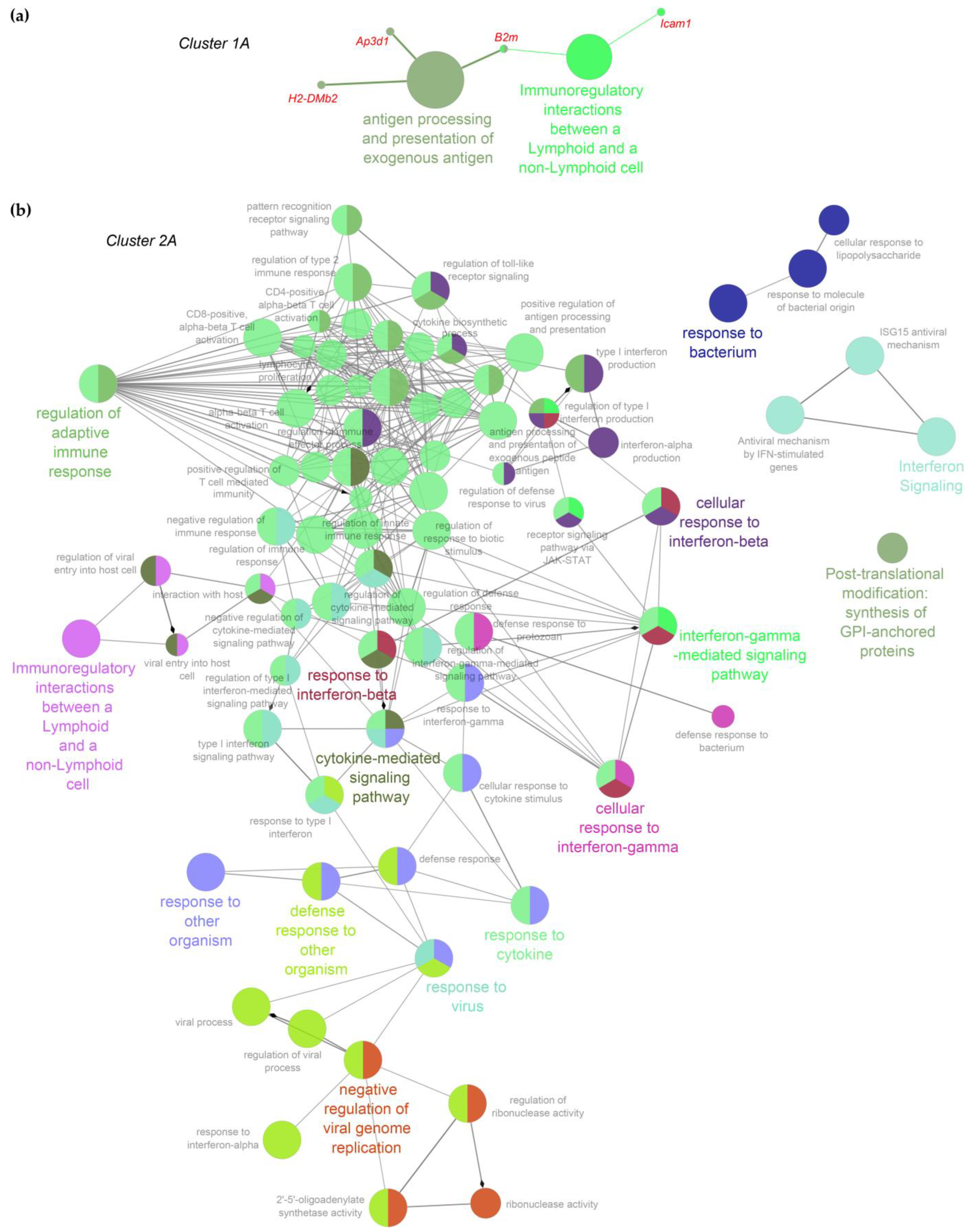 Ijms 23 11130 g005 Ijms 23 11130 g005