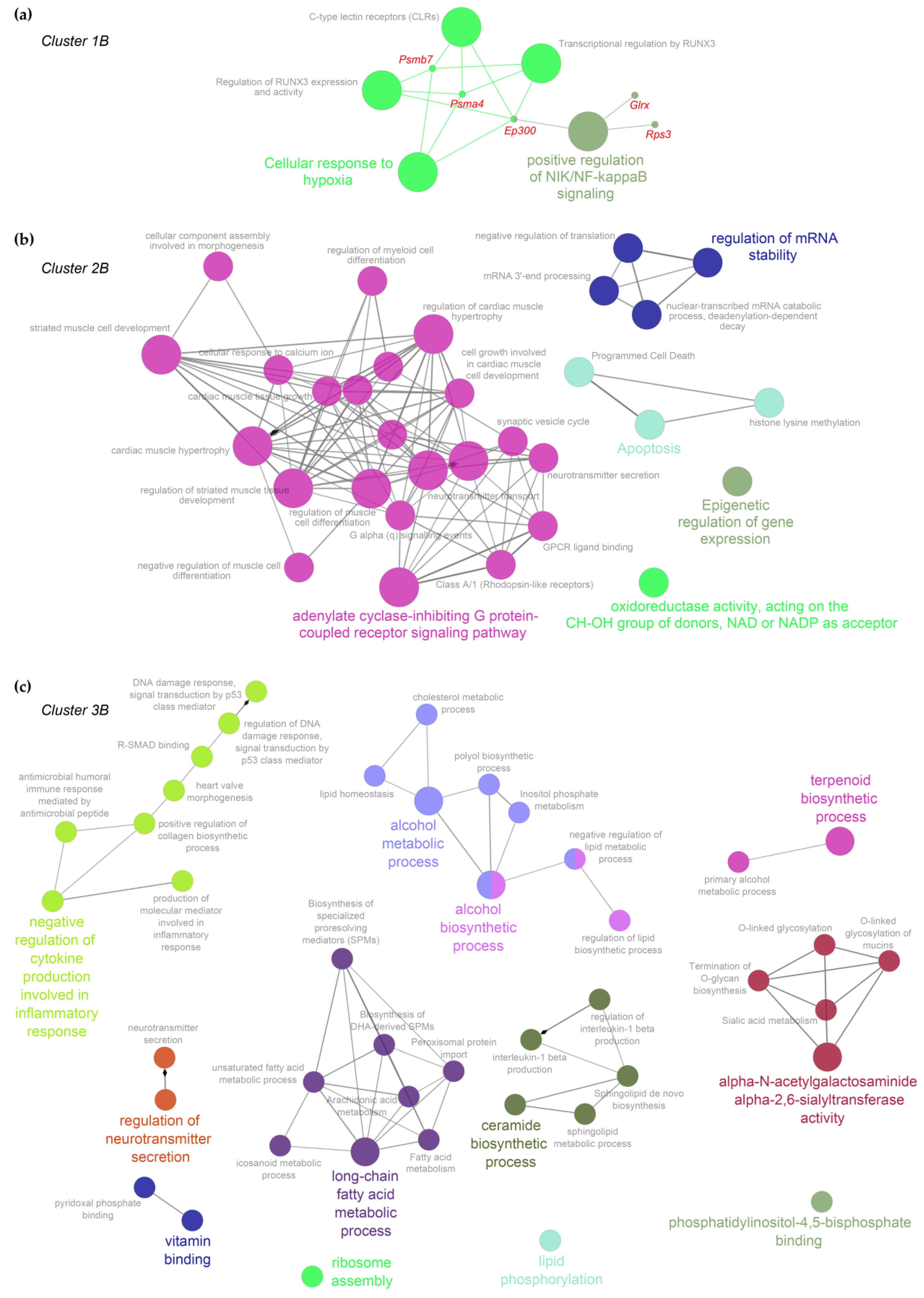 Ijms 23 11130 g006 Ijms 23 11130 g006