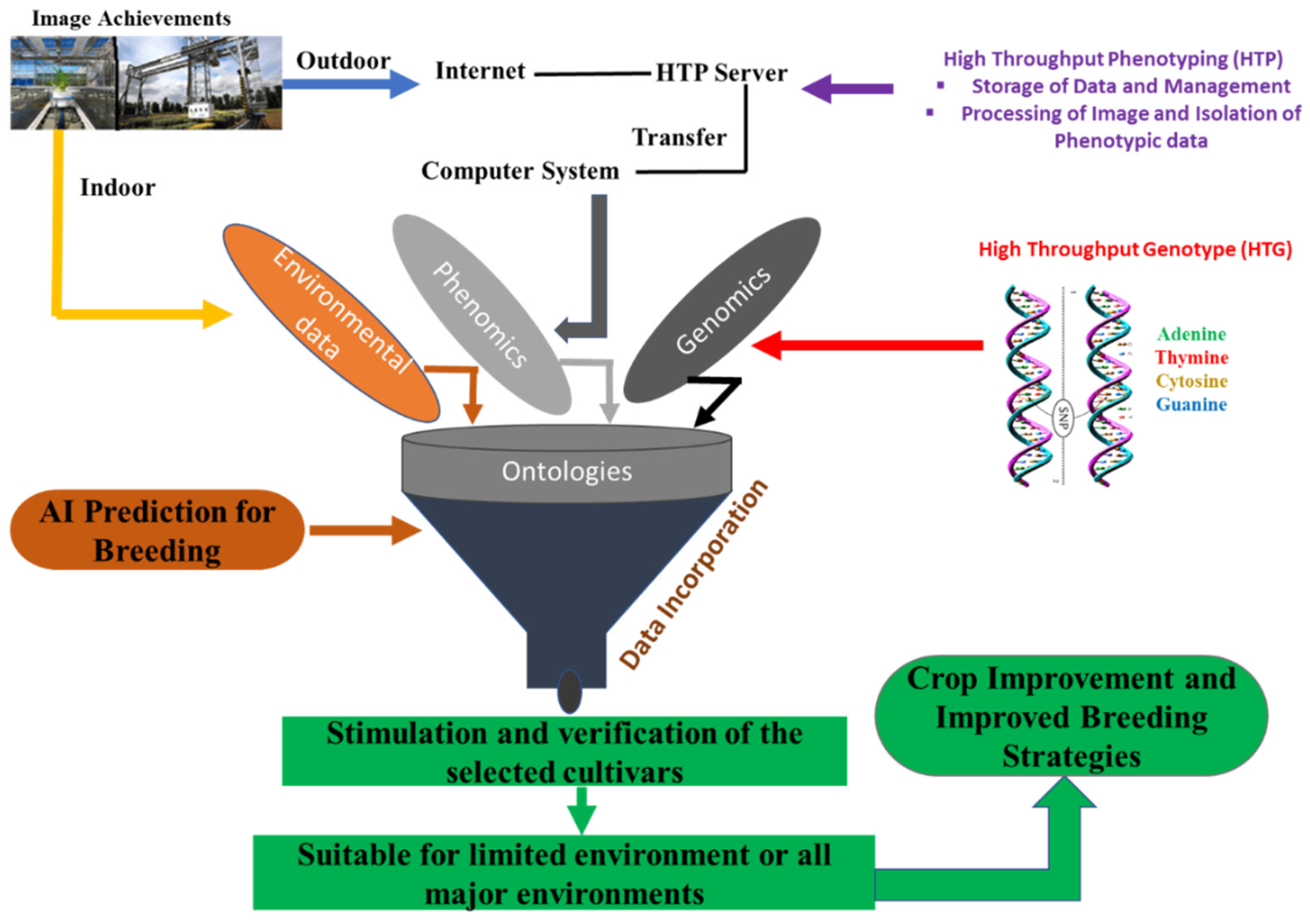 Ijms Free Full Text Applications Of Artificial Intelligence In