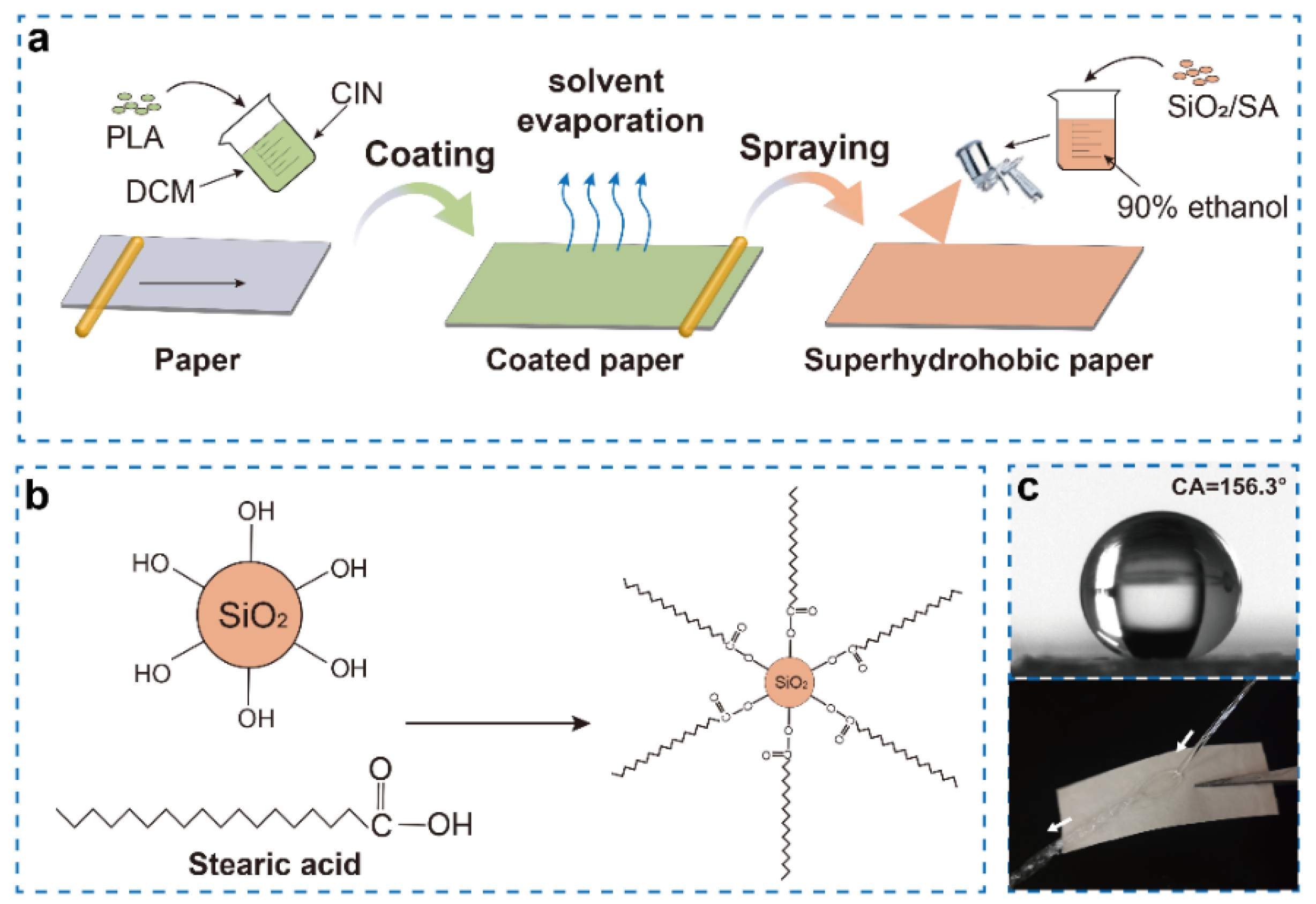 https://www.mdpi.com/ijms/ijms-23-11158/article_deploy/html/images/ijms-23-11158-g001.png