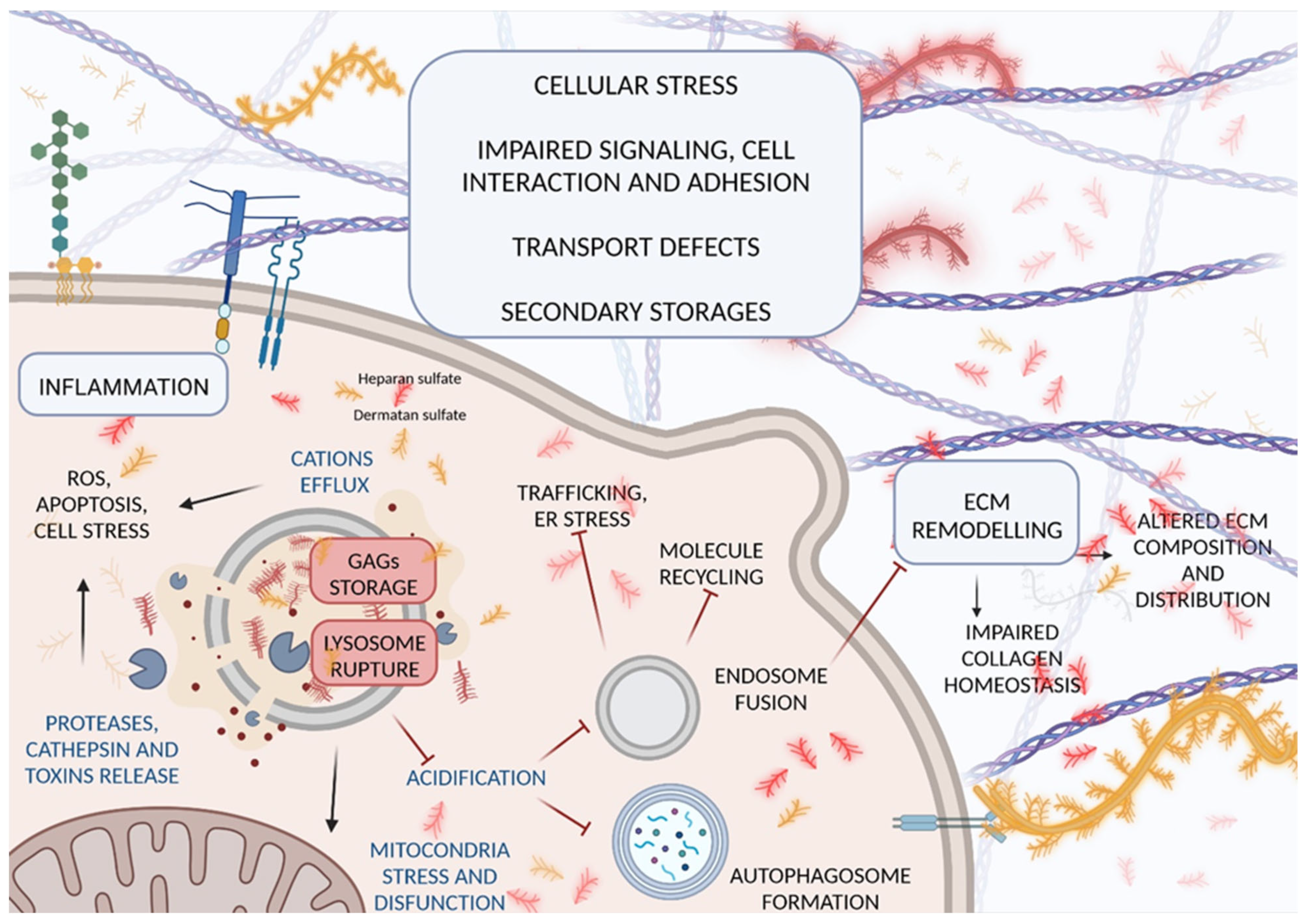 Ijms 23 11168 g003 Ijms 23 11168 g003