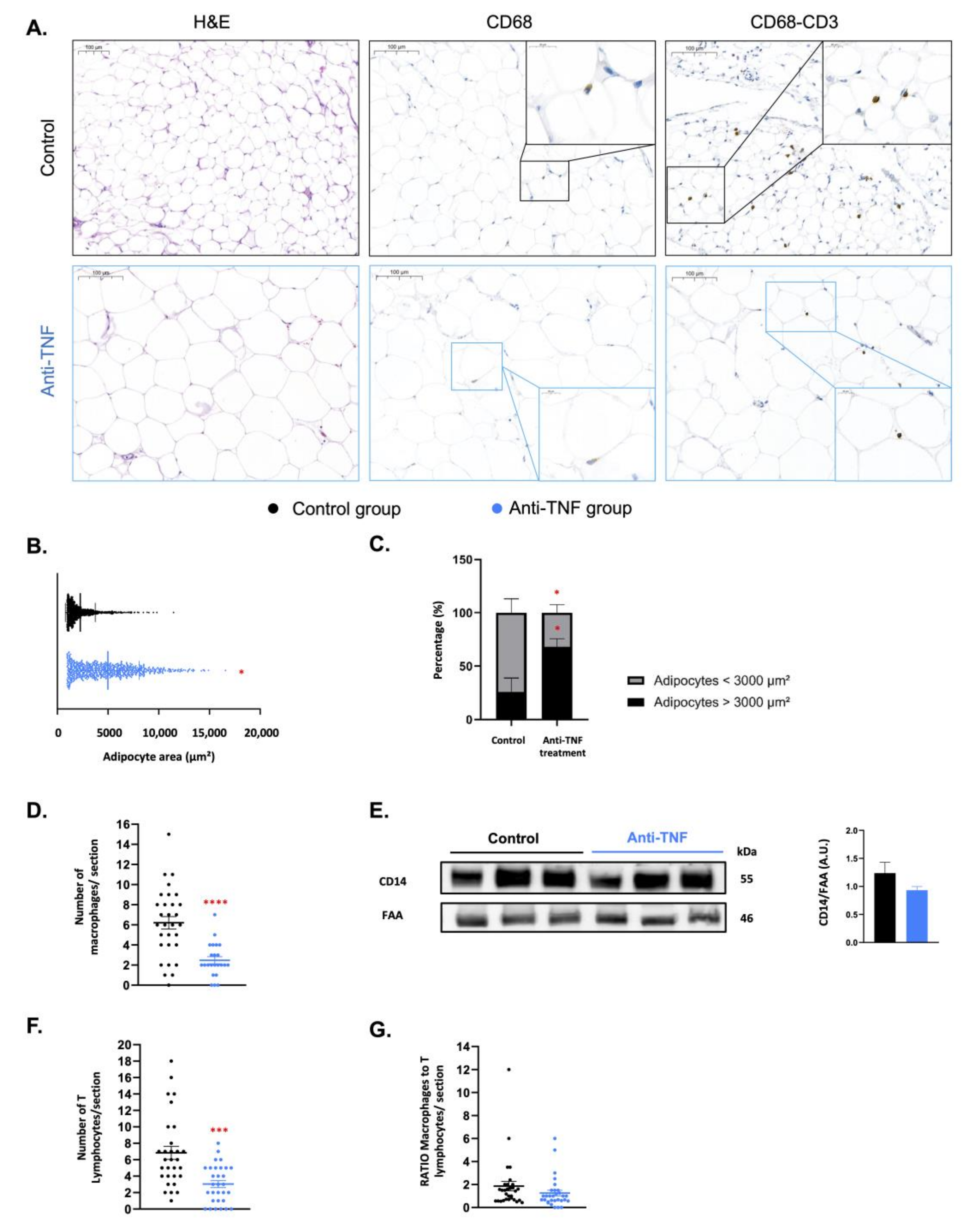 Ijms 23 11170 g001 Ijms 23 11170 g001