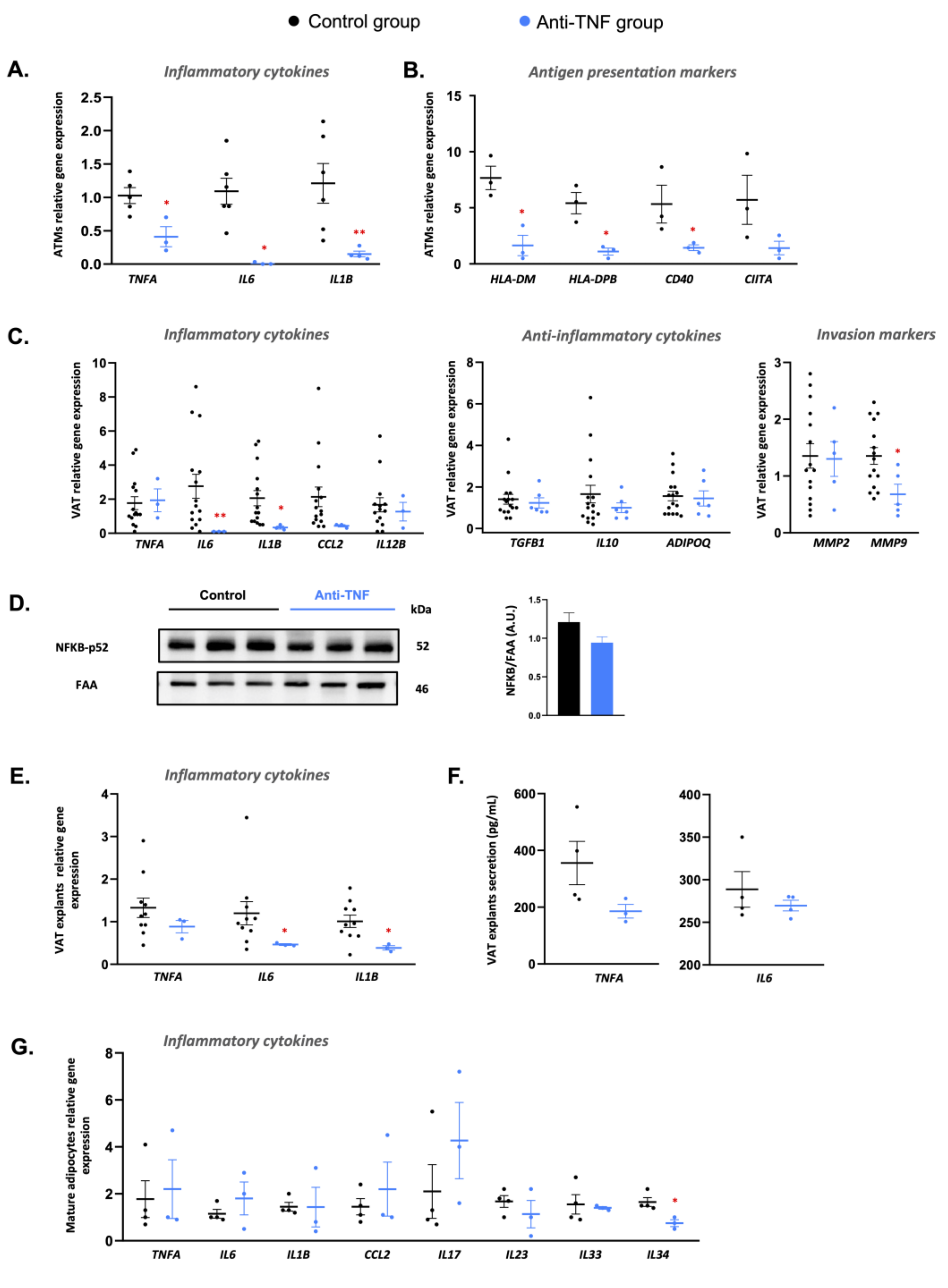 Ijms 23 11170 g002 Ijms 23 11170 g002