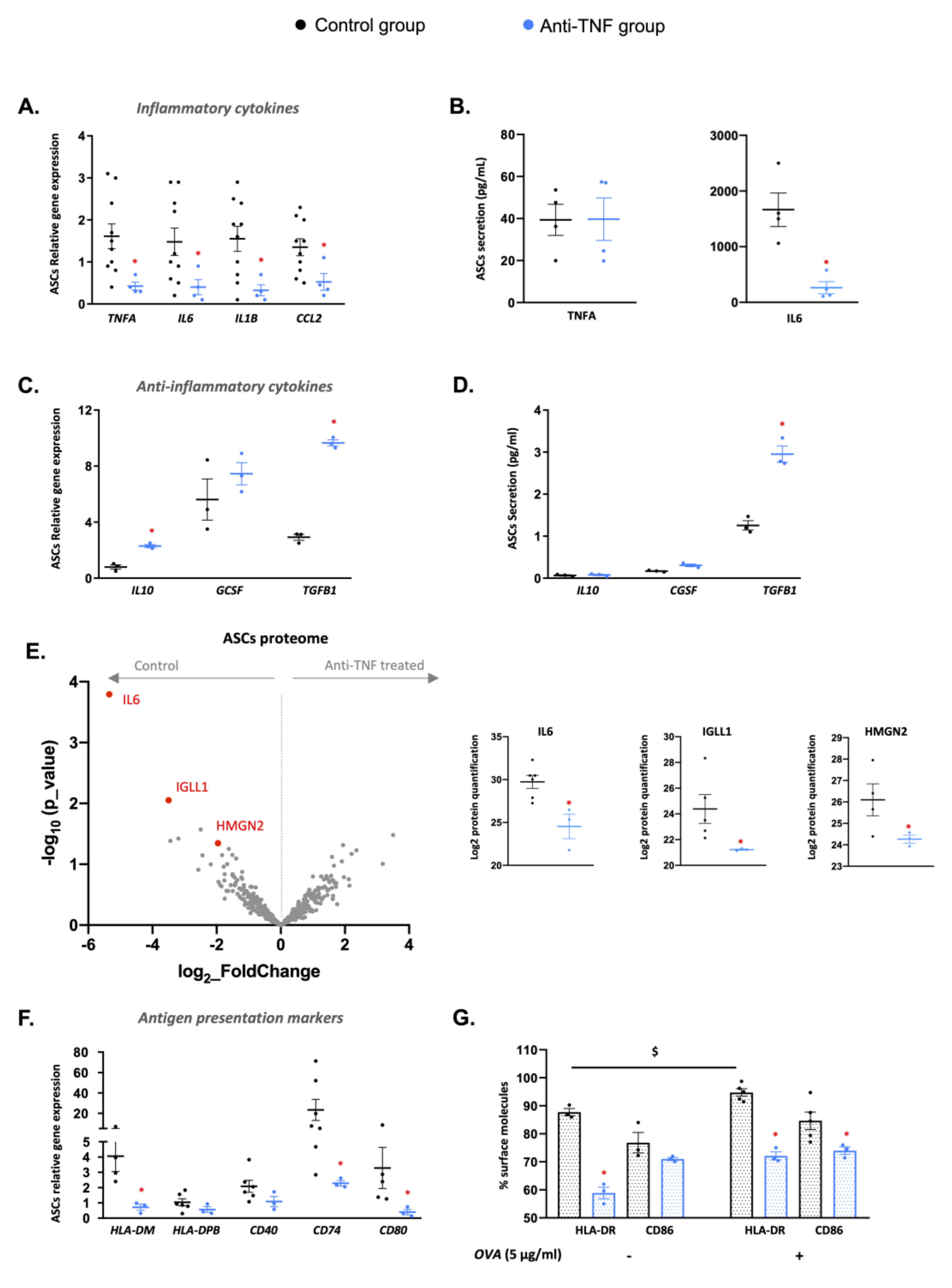 Ijms 23 11170 g003 Ijms 23 11170 g003