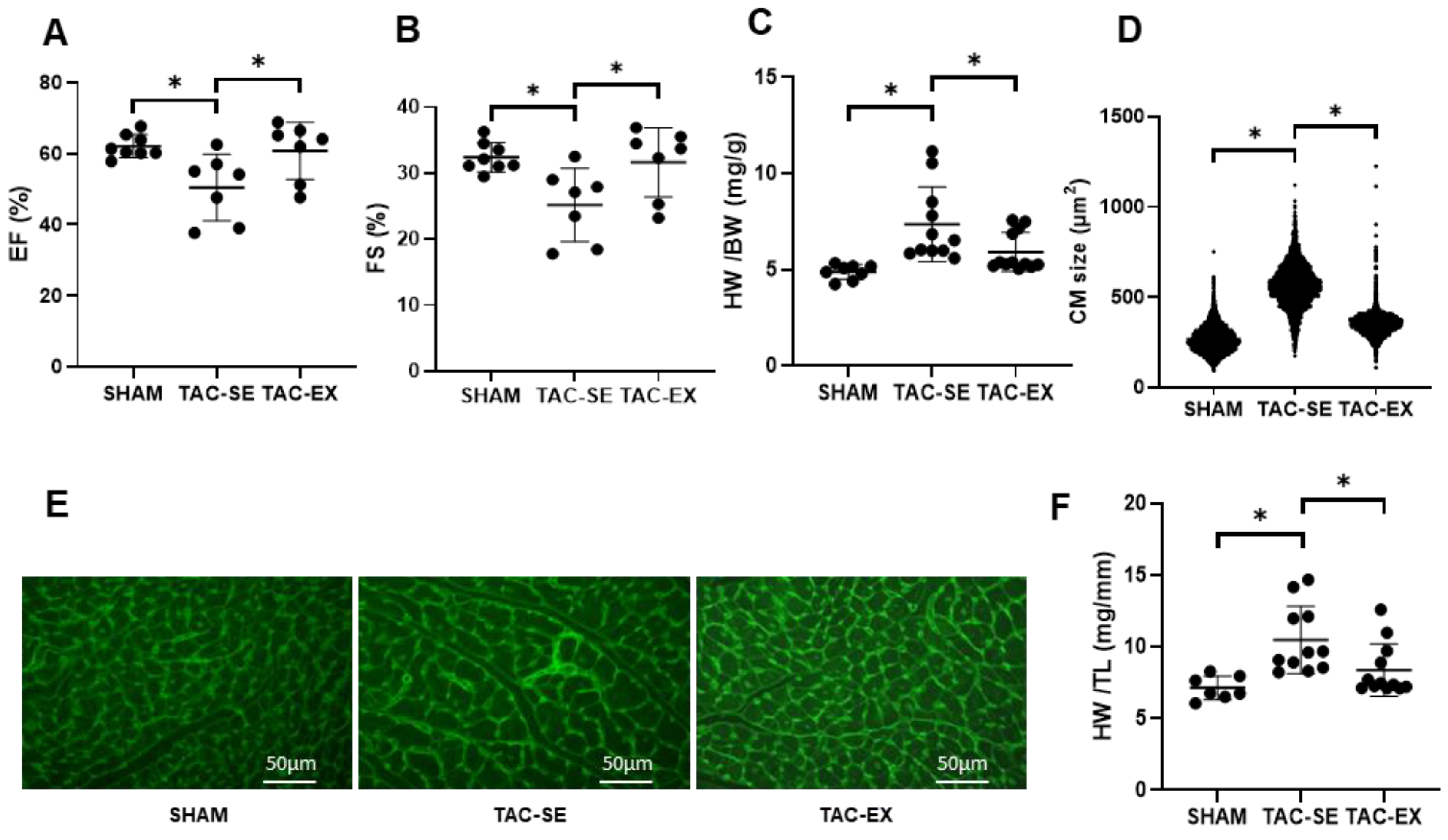Ijms 23 11189 g001 Ijms 23 11189 g001