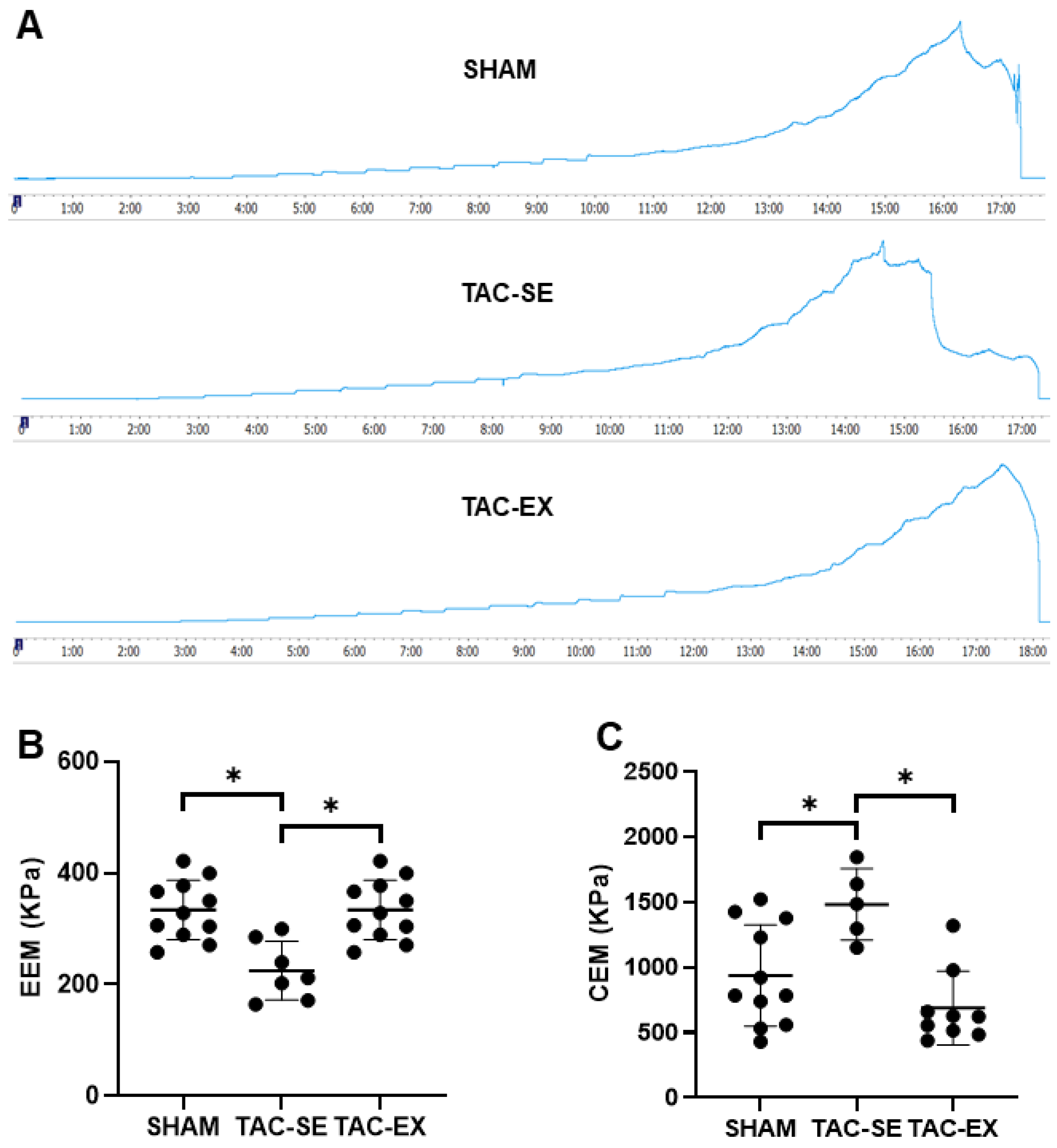 Ijms 23 11189 g003 Ijms 23 11189 g003