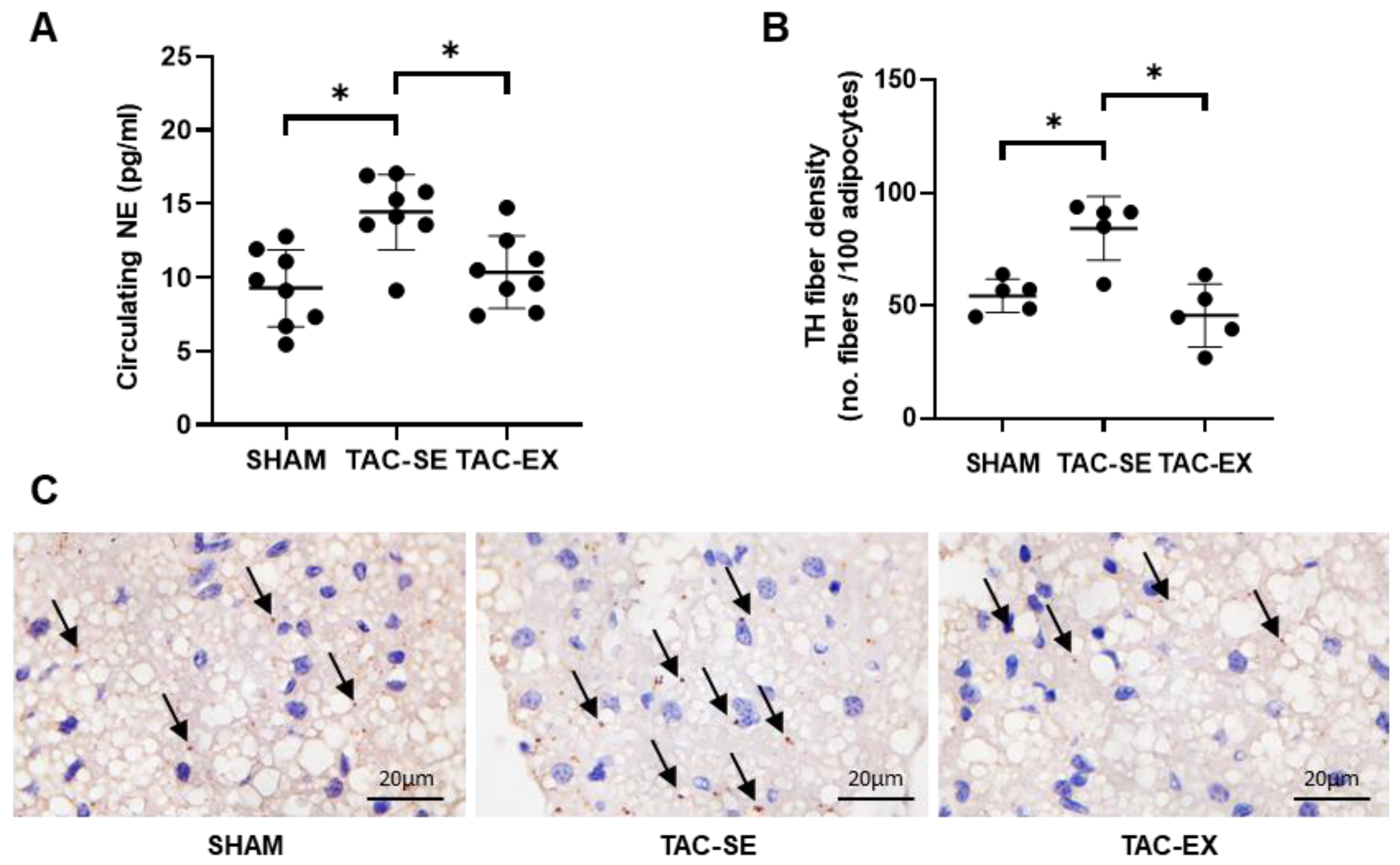Ijms 23 11189 g004 Ijms 23 11189 g004
