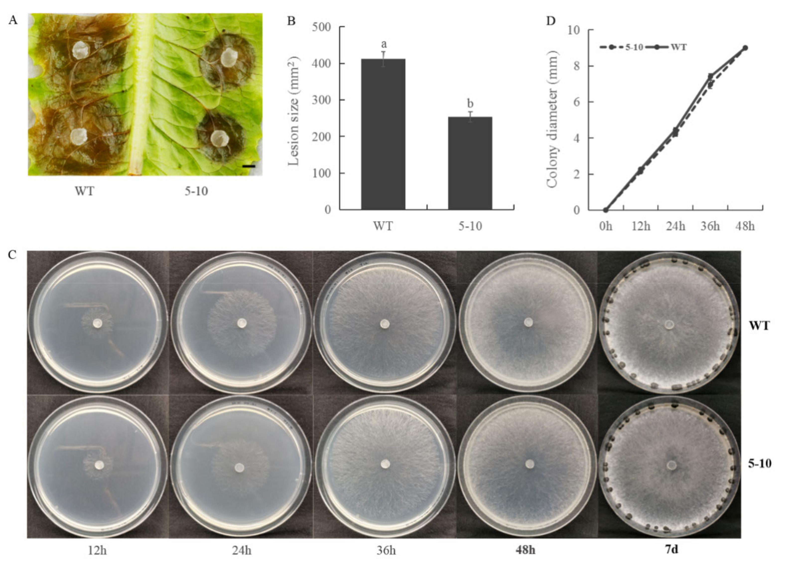 Ijms 23 11207 g001 Ijms 23 11207 g001