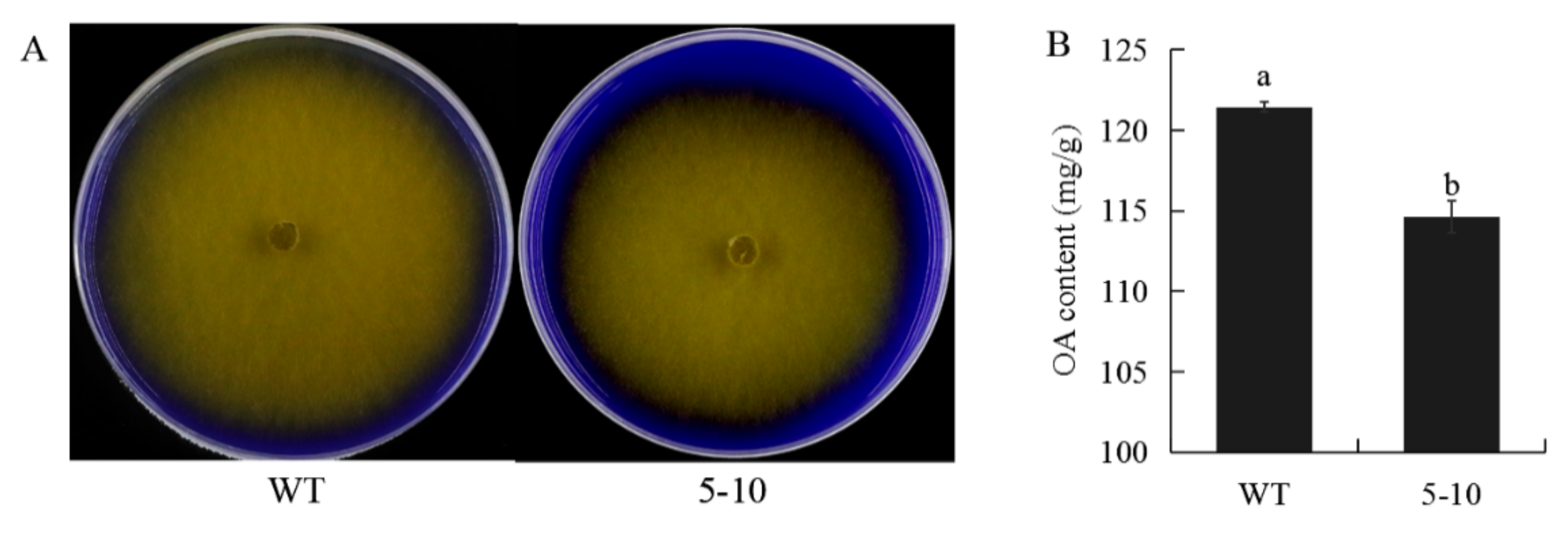 Ijms 23 11207 g002 Ijms 23 11207 g002