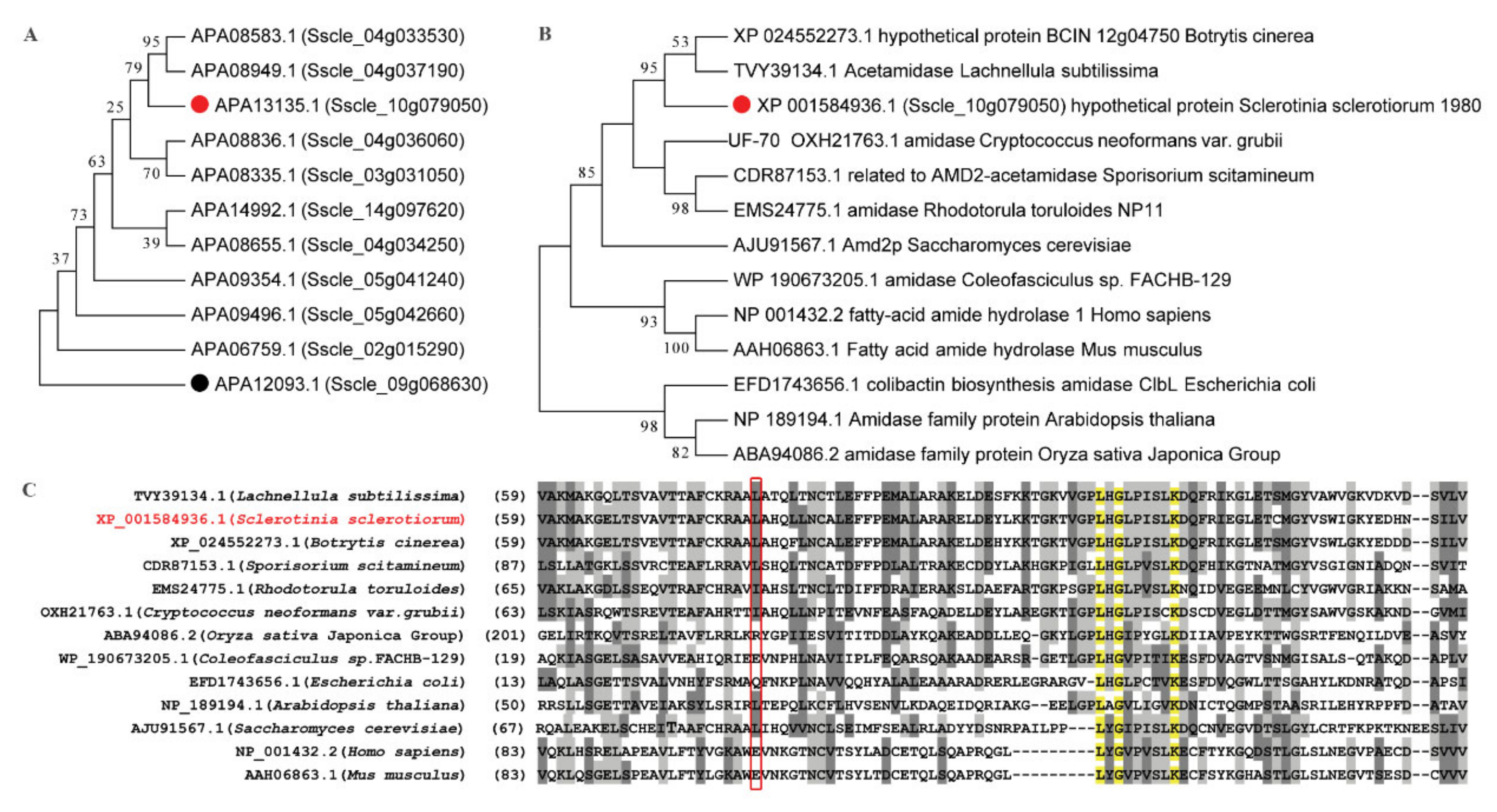 Ijms 23 11207 g005 Ijms 23 11207 g005