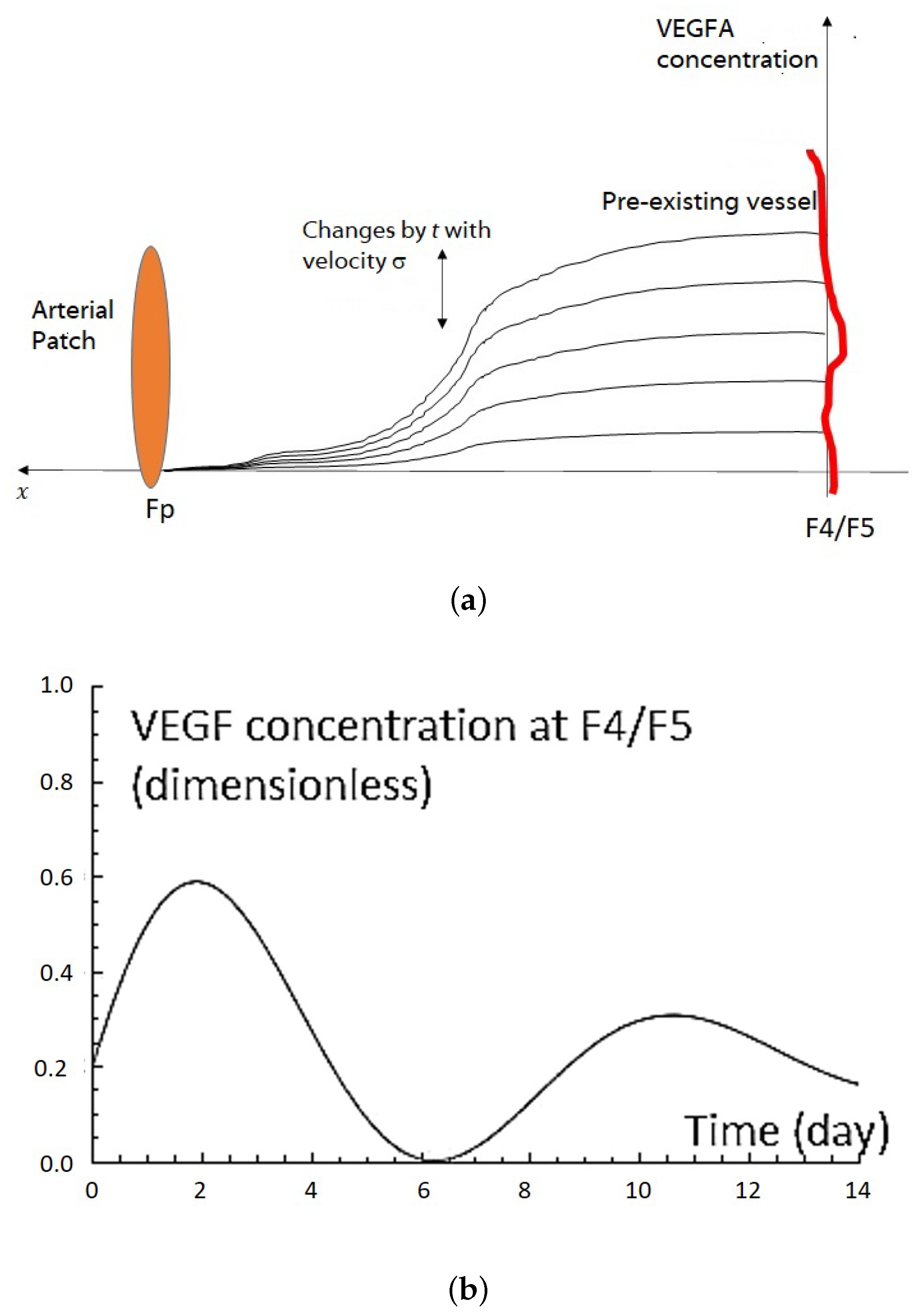 Ijms 23 11208 g002a Ijms 23 11208 g002a