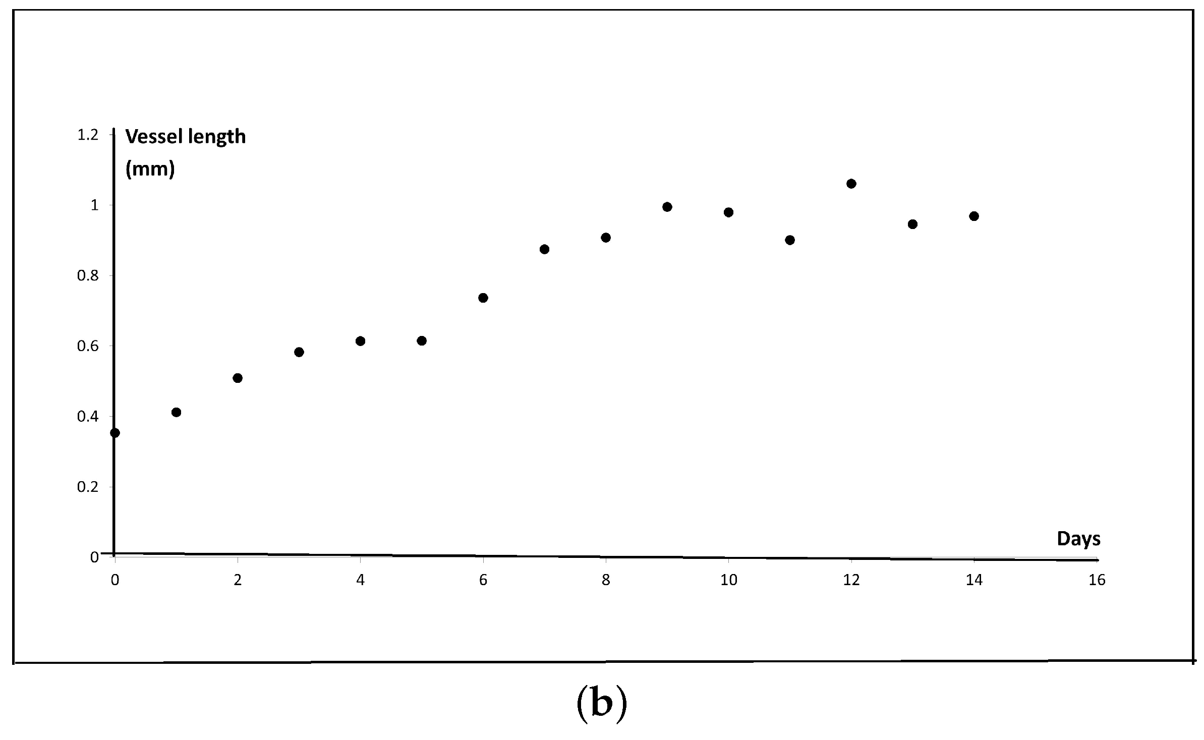 Ijms 23 11208 g003b Ijms 23 11208 g003b