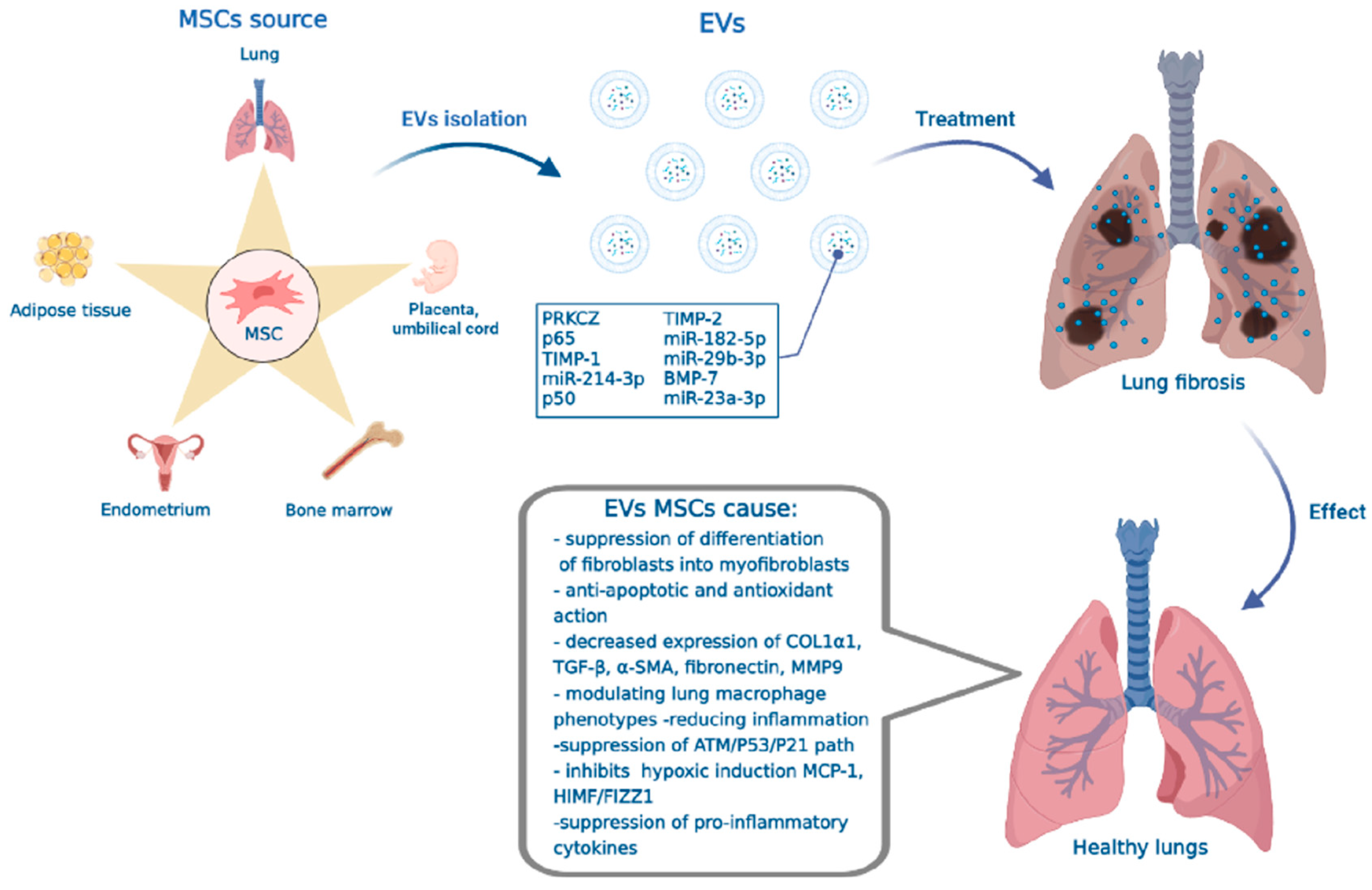 Ijms 23 11212 g002 Ijms 23 11212 g002