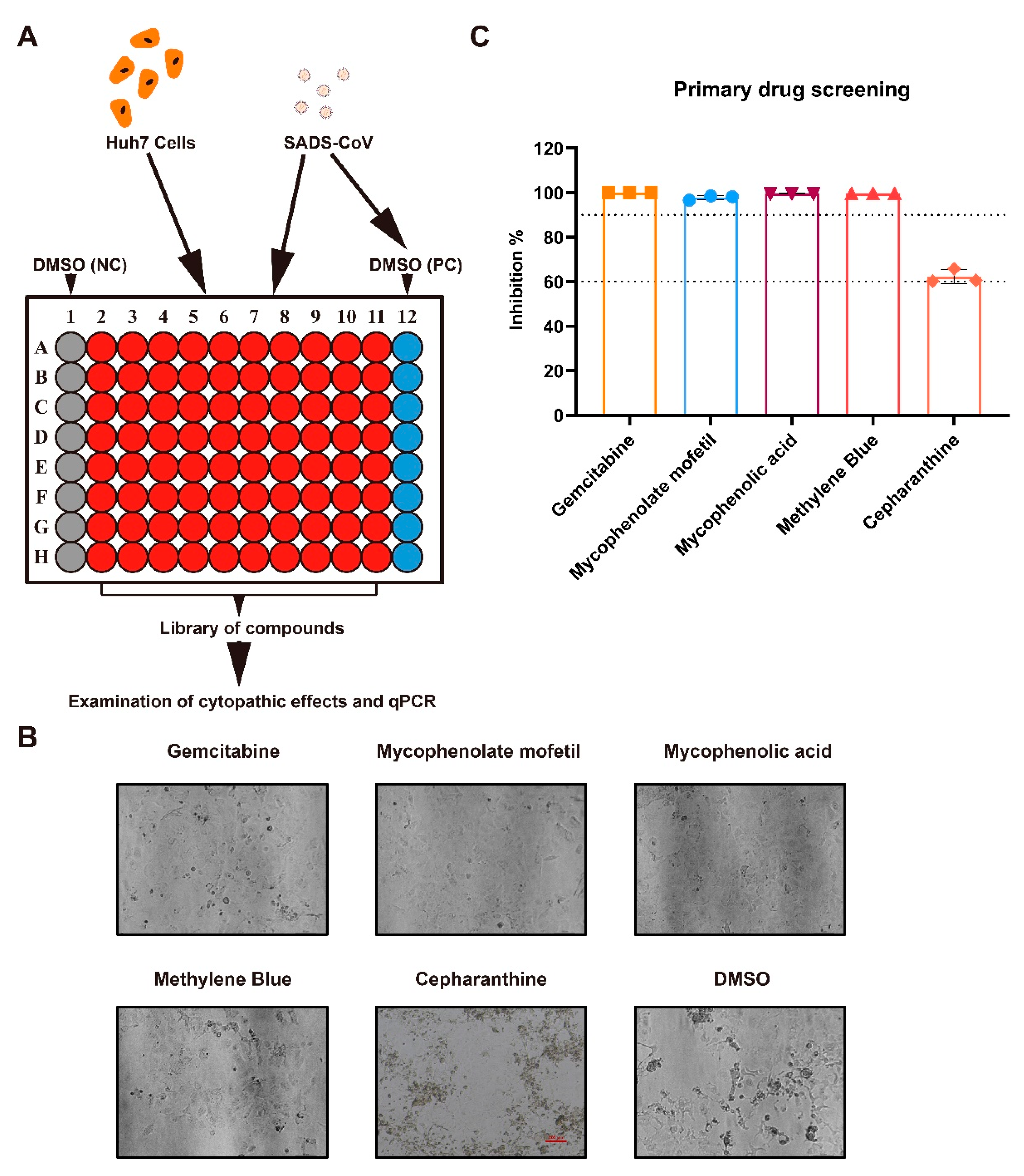Ijms 23 11250 g001 Ijms 23 11250 g001