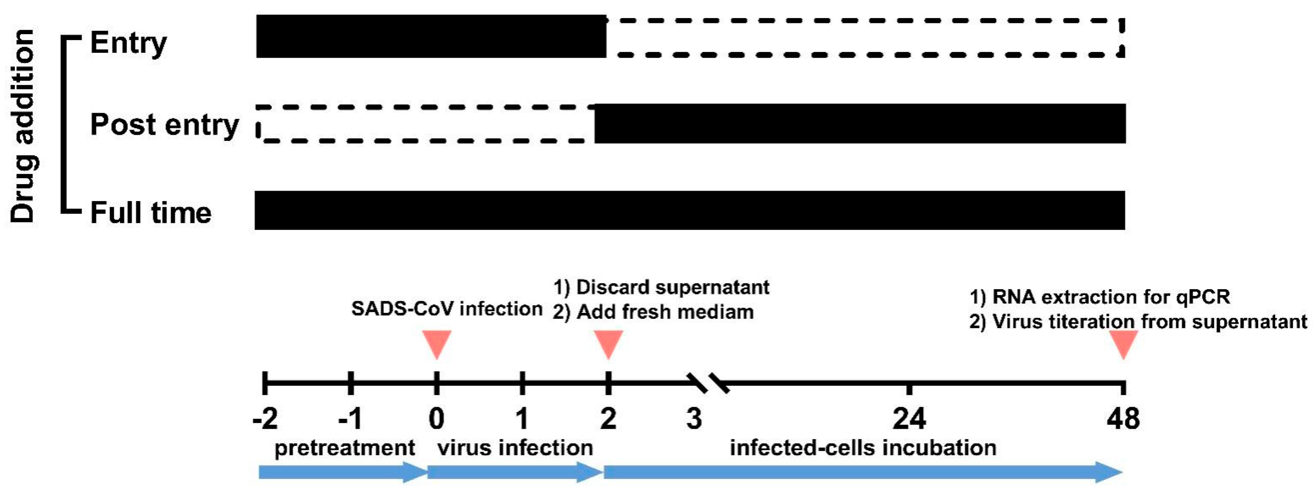 Ijms 23 11250 g003 Ijms 23 11250 g003