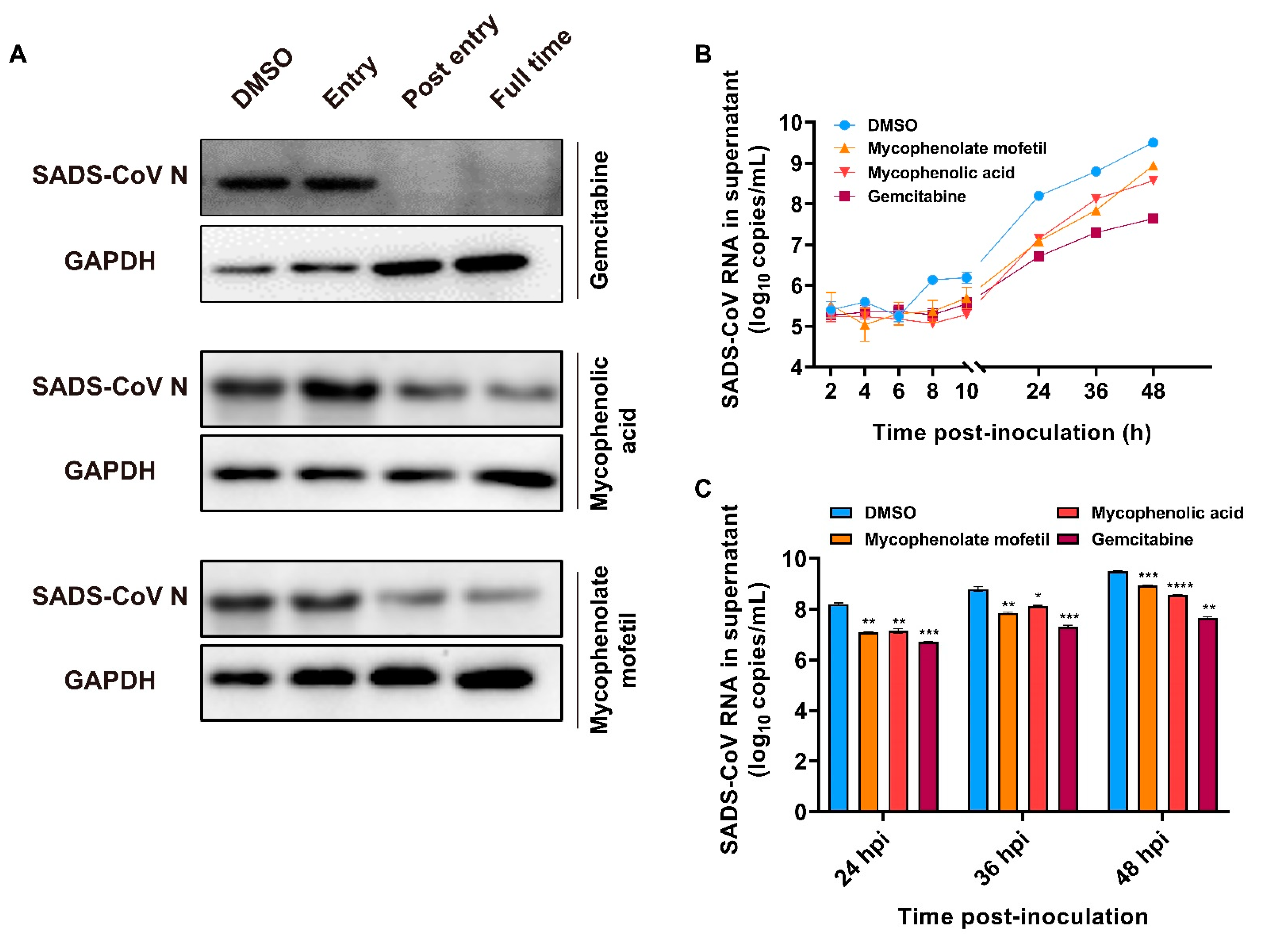 Ijms 23 11250 g007 Ijms 23 11250 g007