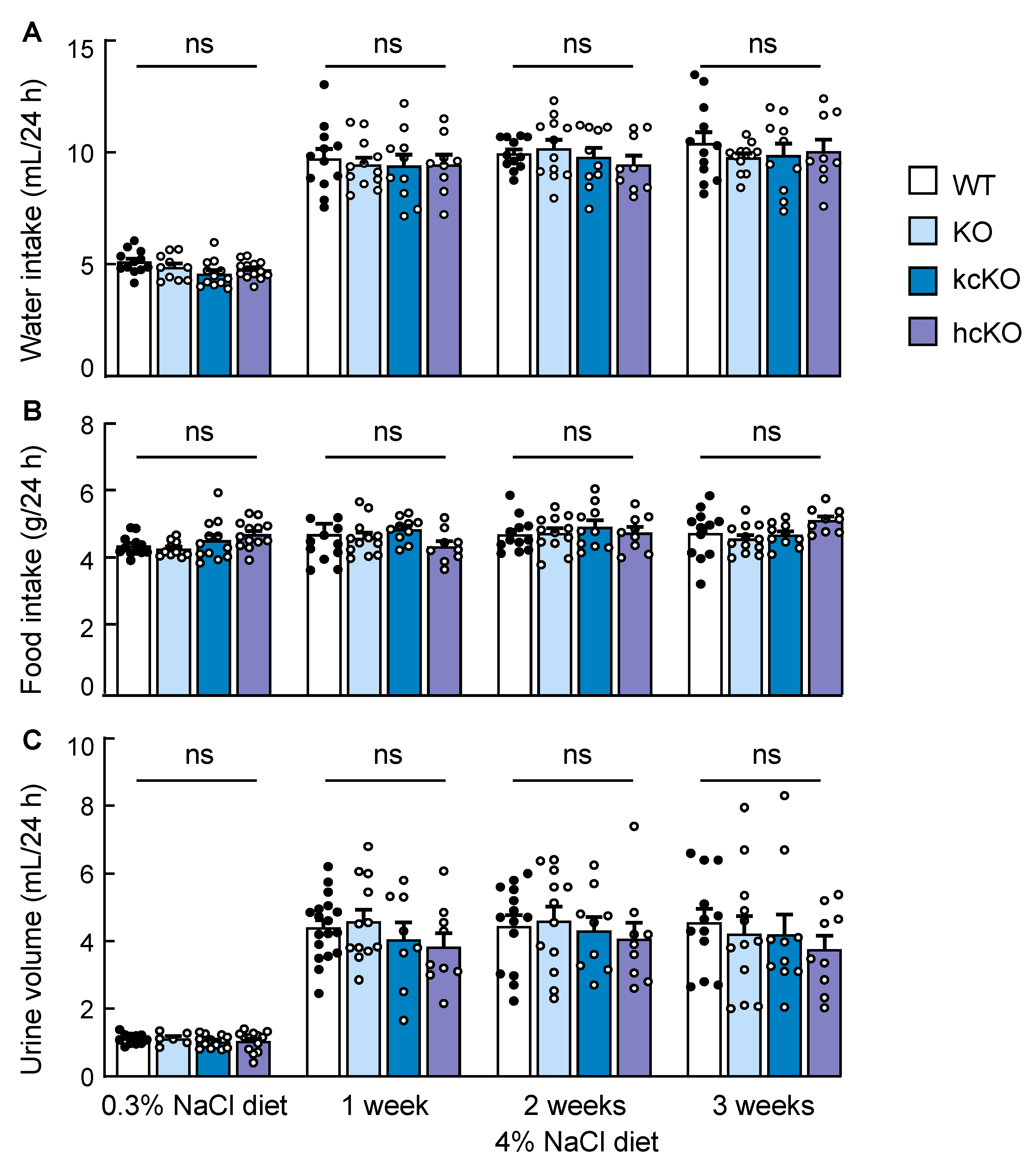 Ijms 23 11251 g006 Ijms 23 11251 g006
