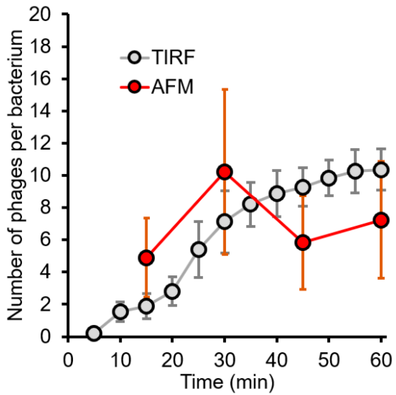 Ijms 23 11252 g006 Ijms 23 11252 g006