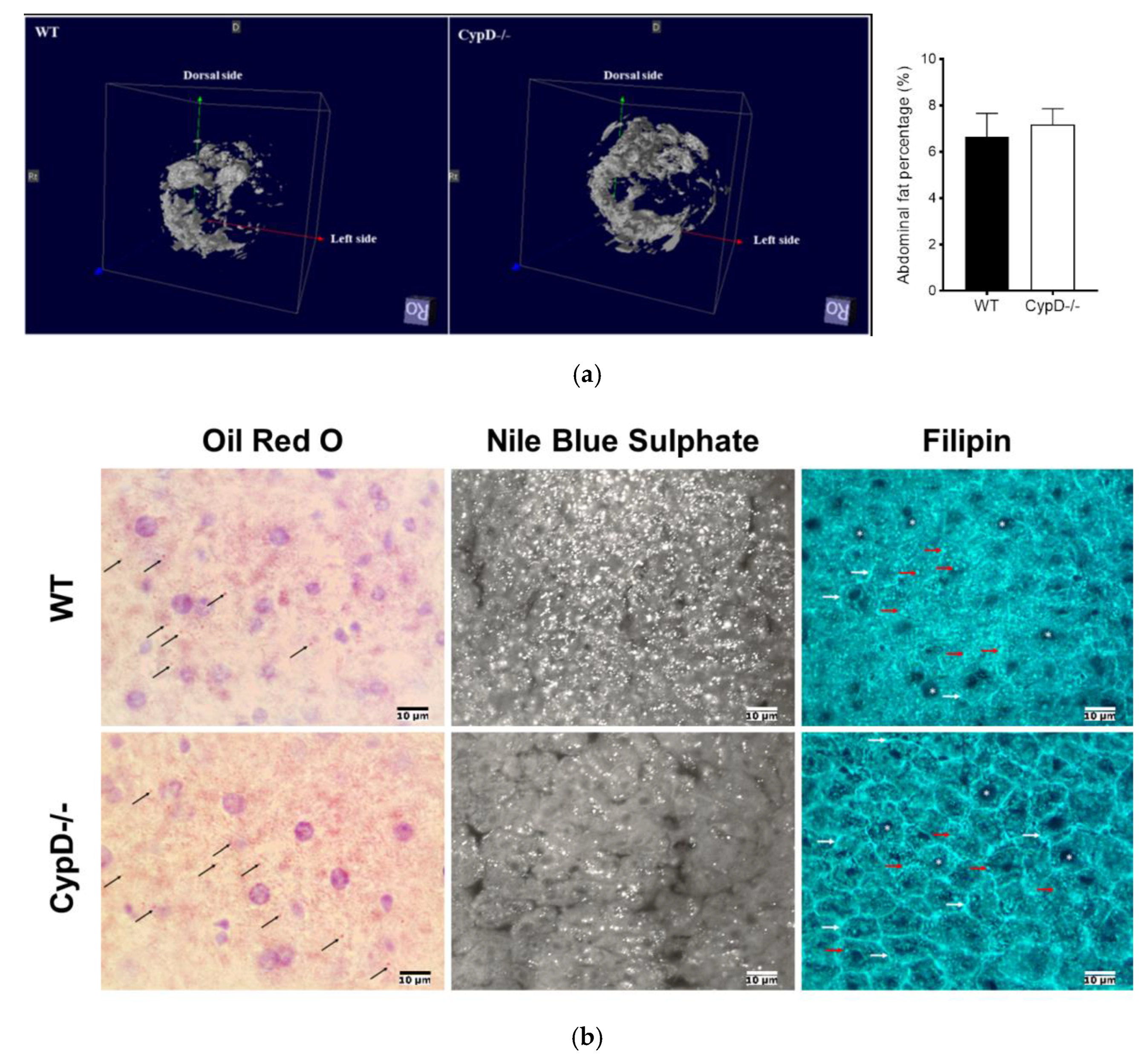 Ijms 23 11274 g005 Ijms 23 11274 g005