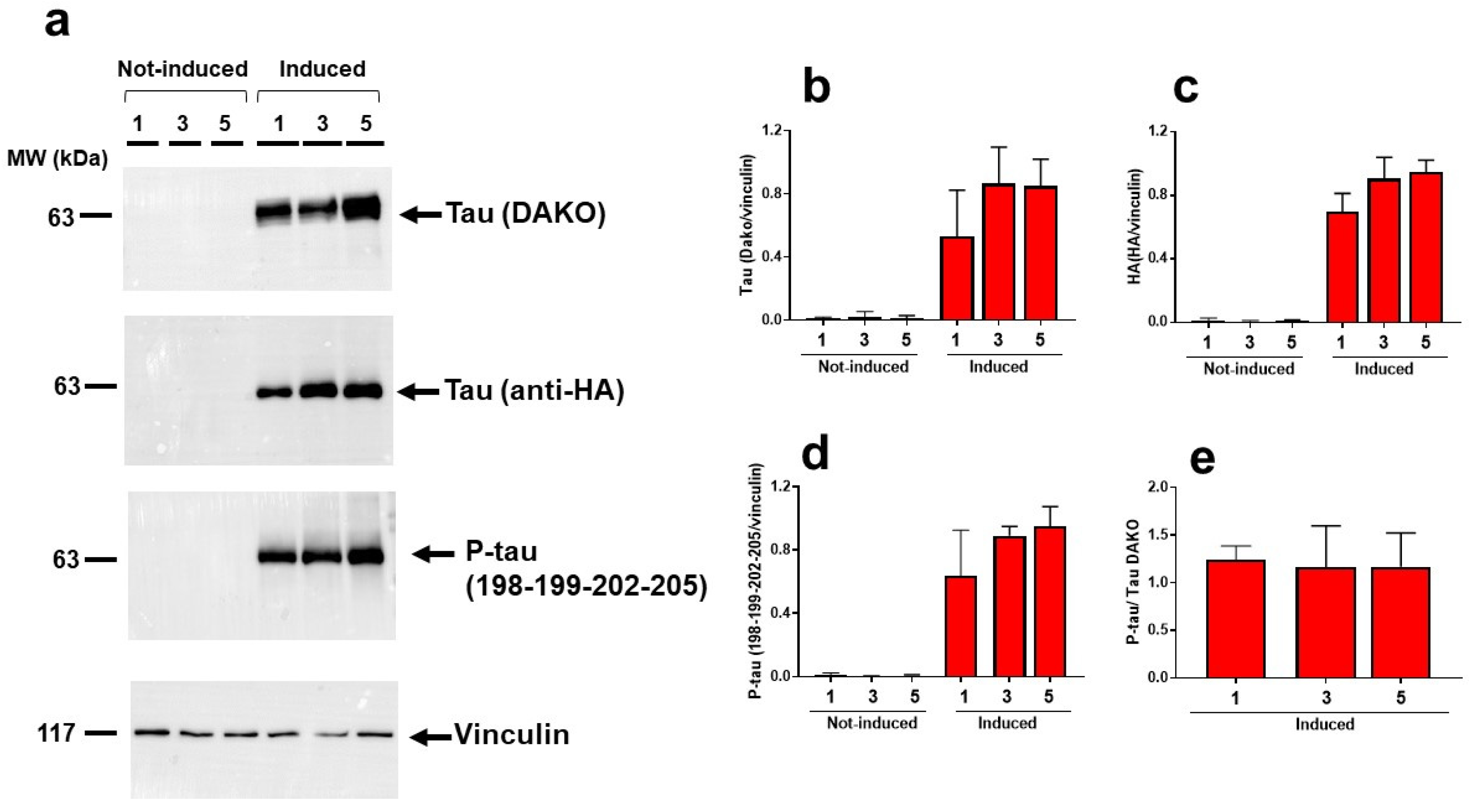 Ijms 23 11277 g002 Ijms 23 11277 g002