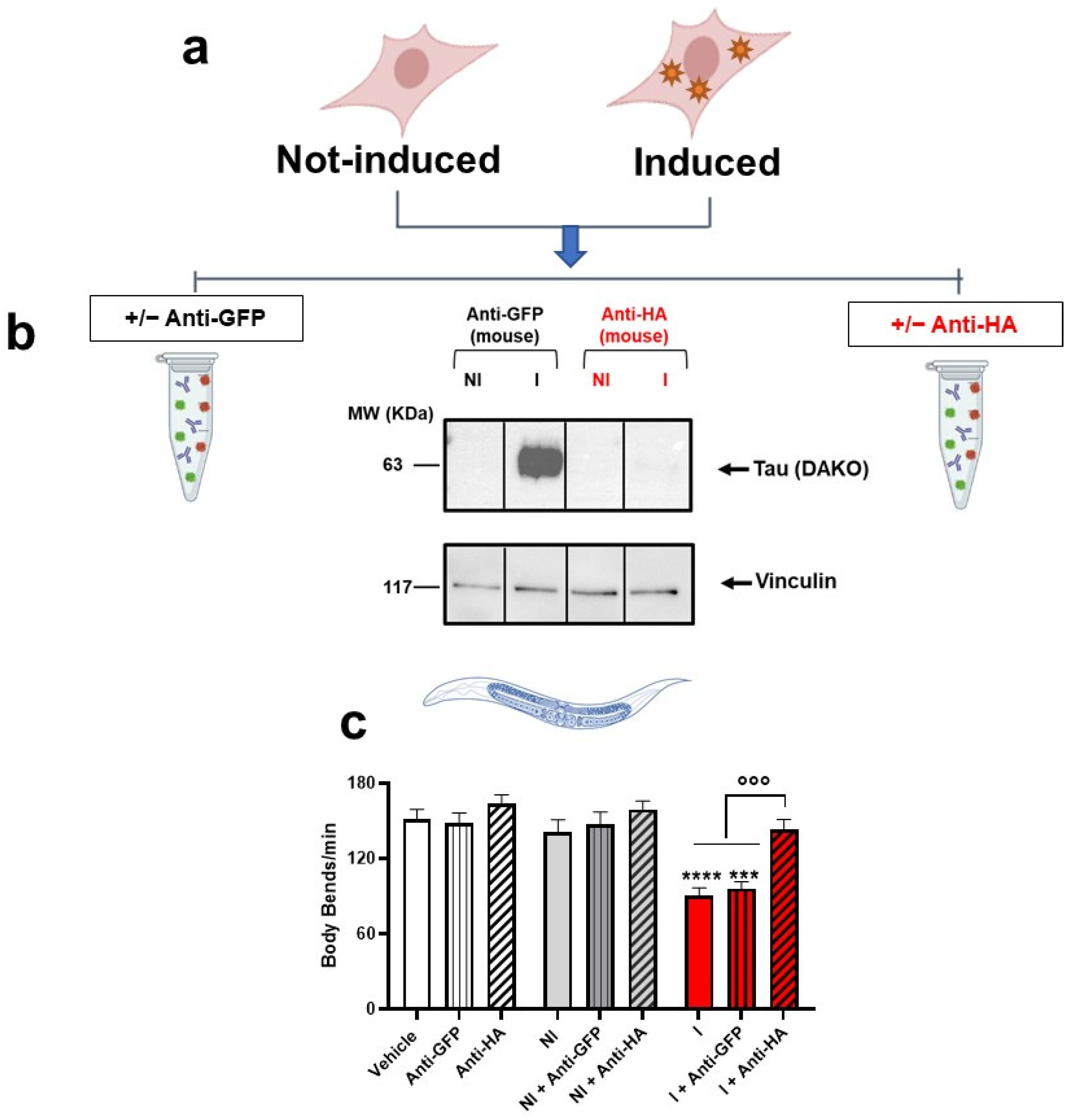 Ijms 23 11277 g003 Ijms 23 11277 g003