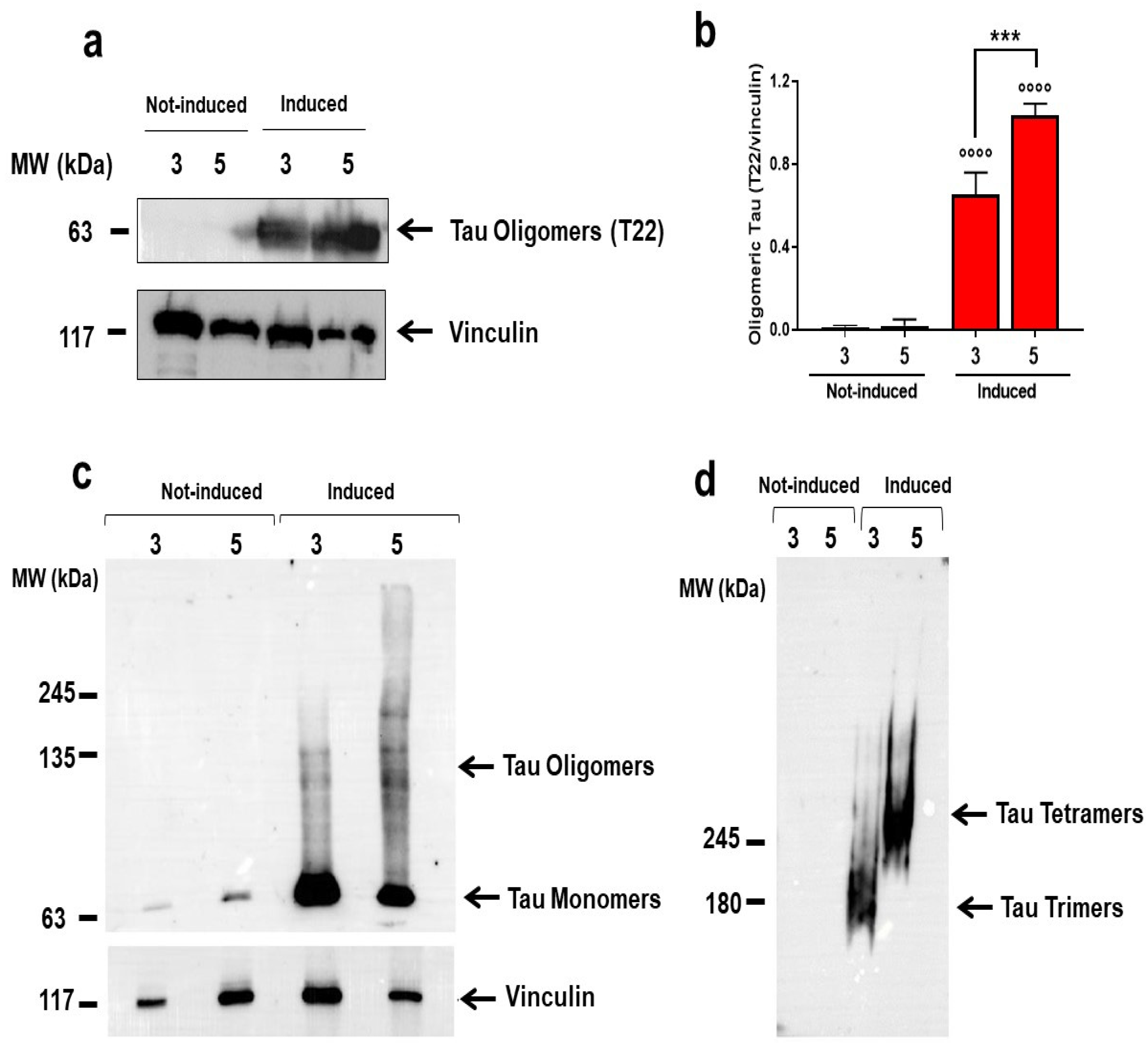 Ijms 23 11277 g005 Ijms 23 11277 g005