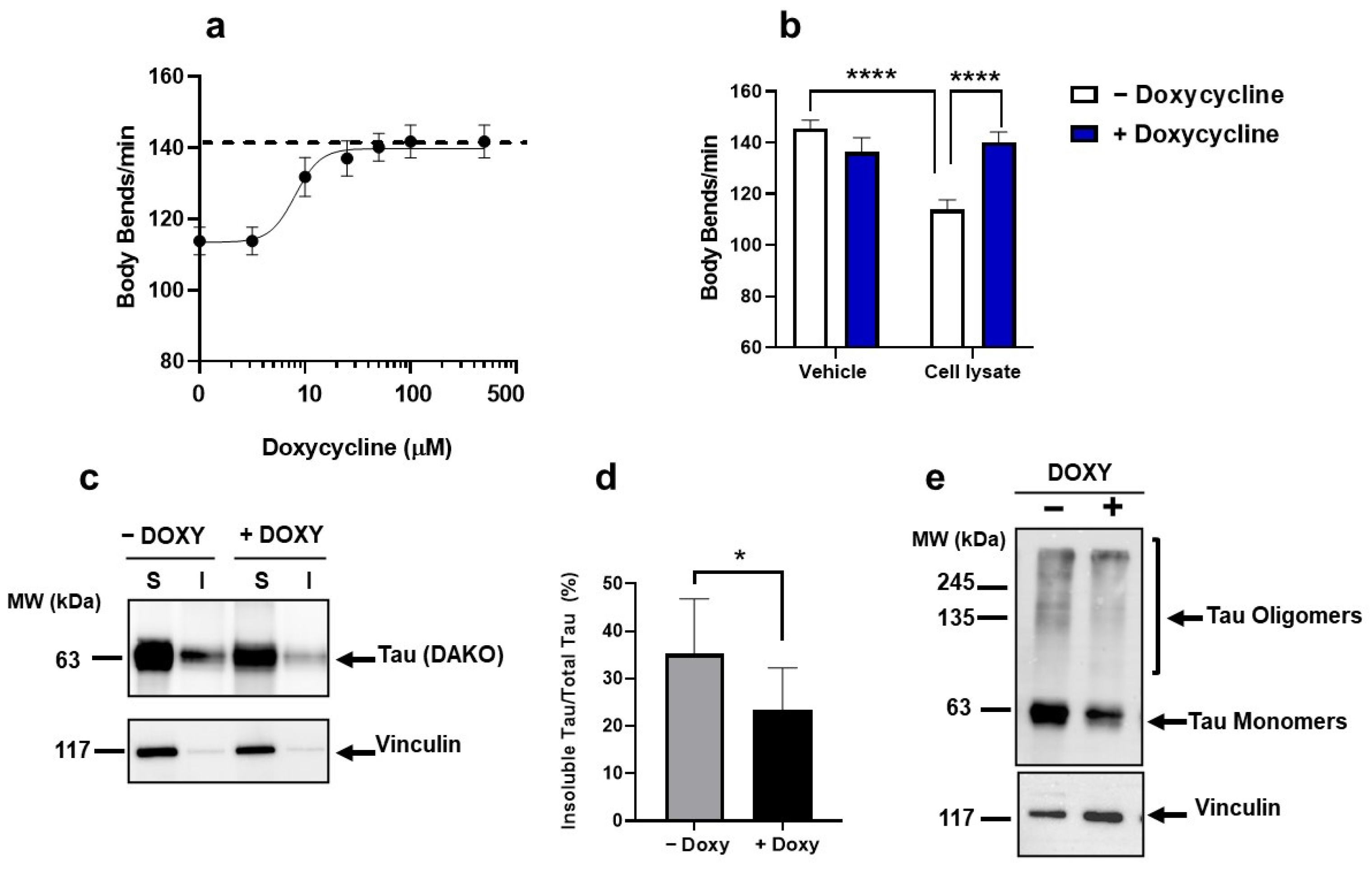 Ijms 23 11277 g006 Ijms 23 11277 g006