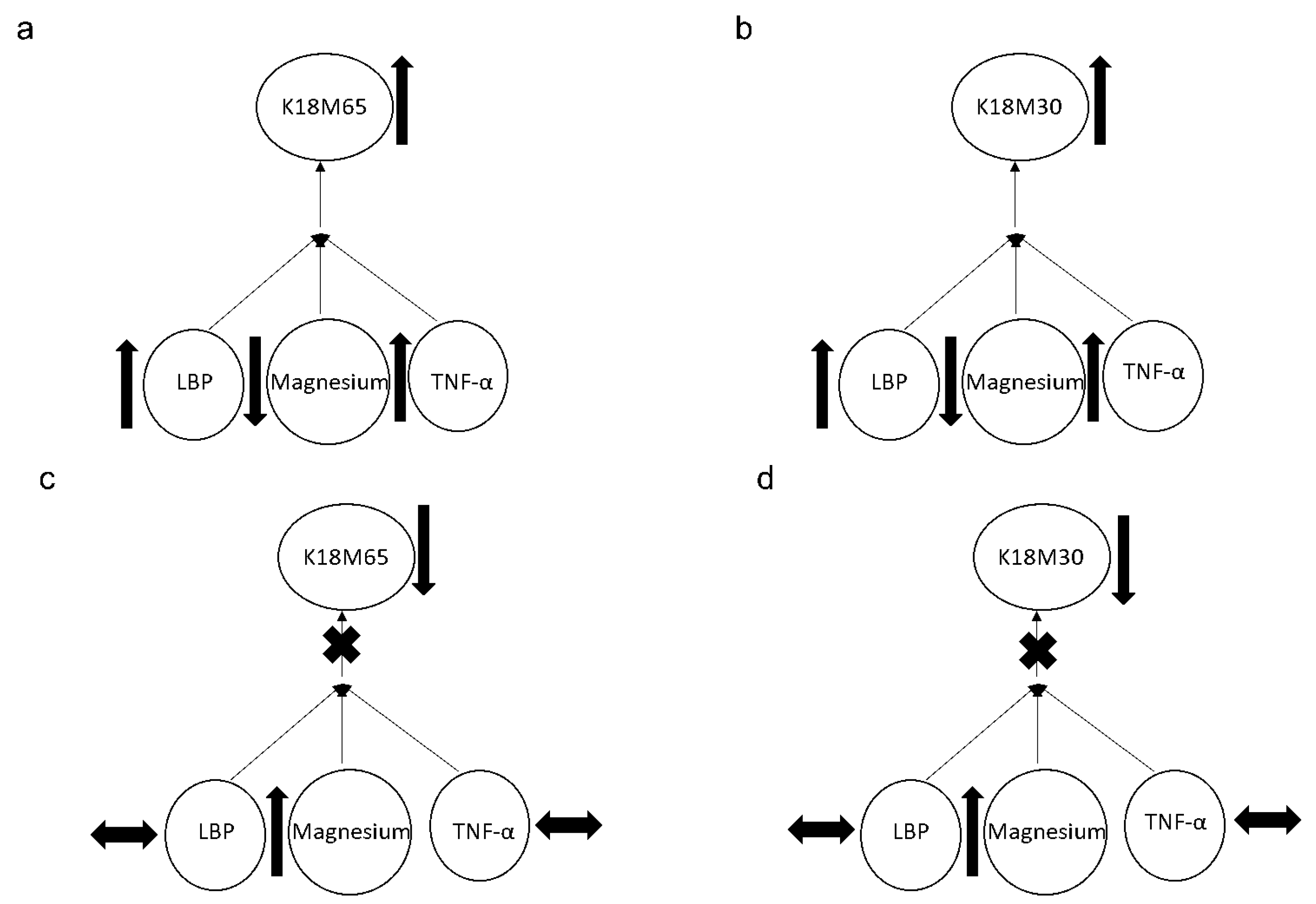 Ijms 23 11332 g004 Ijms 23 11332 g004