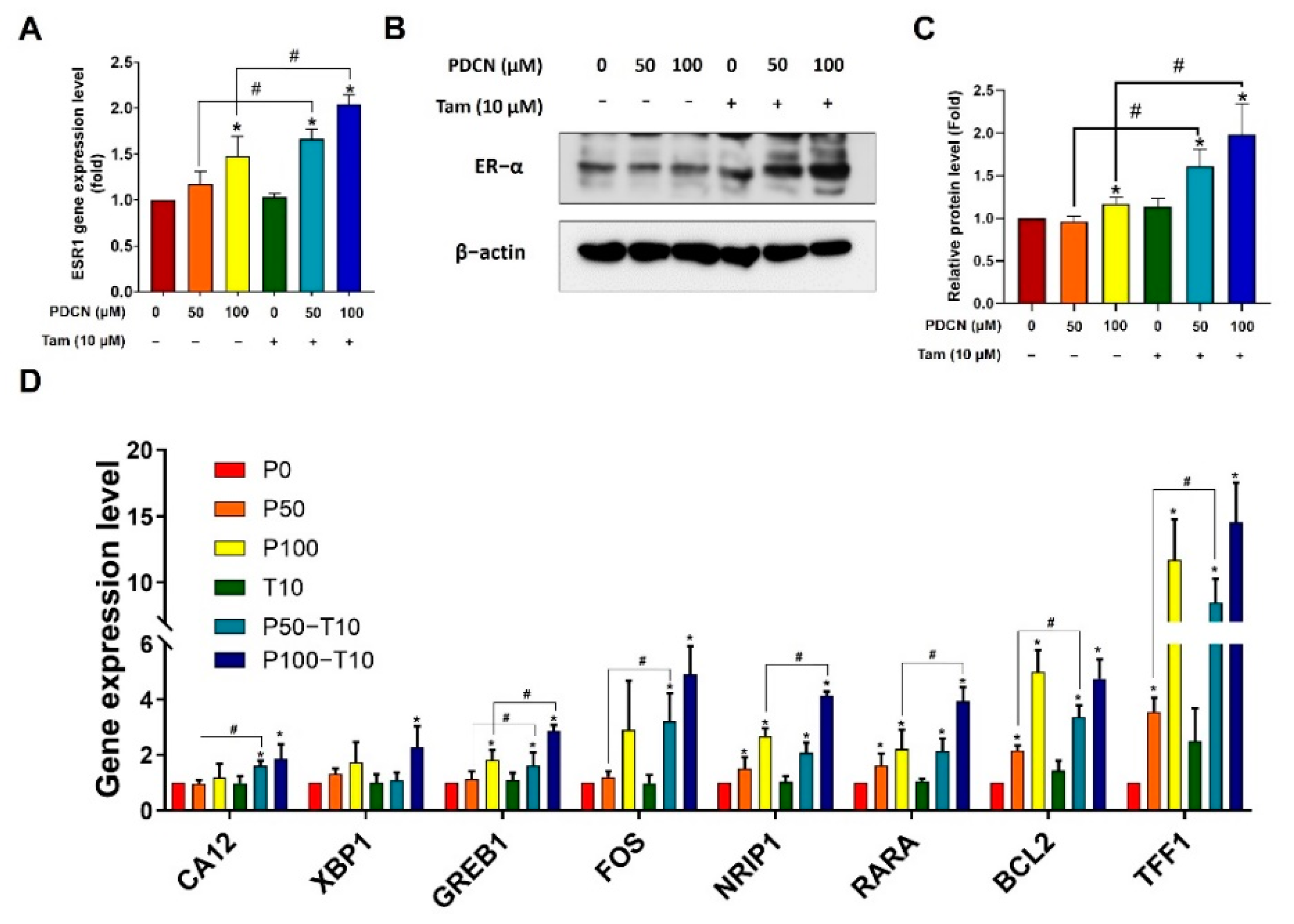 Ijms 23 11340 g007 Ijms 23 11340 g007