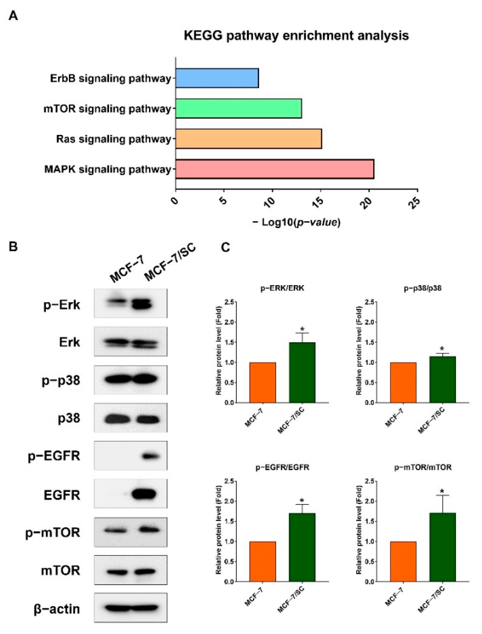 Ijms 23 11340 g008a Ijms 23 11340 g008a