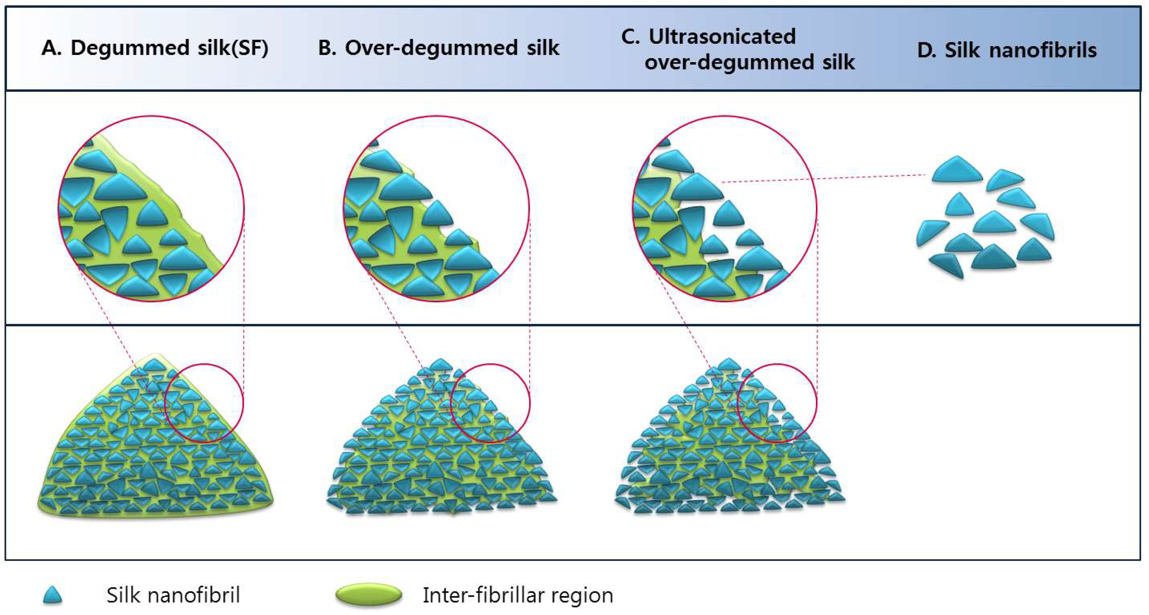 The effect of ageing on the mechanical properties of the silk of