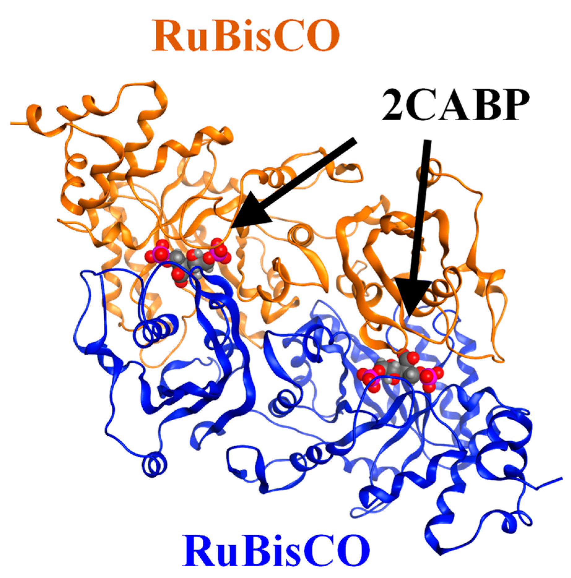 Ijms 23 11347 g002 Ijms 23 11347 g002