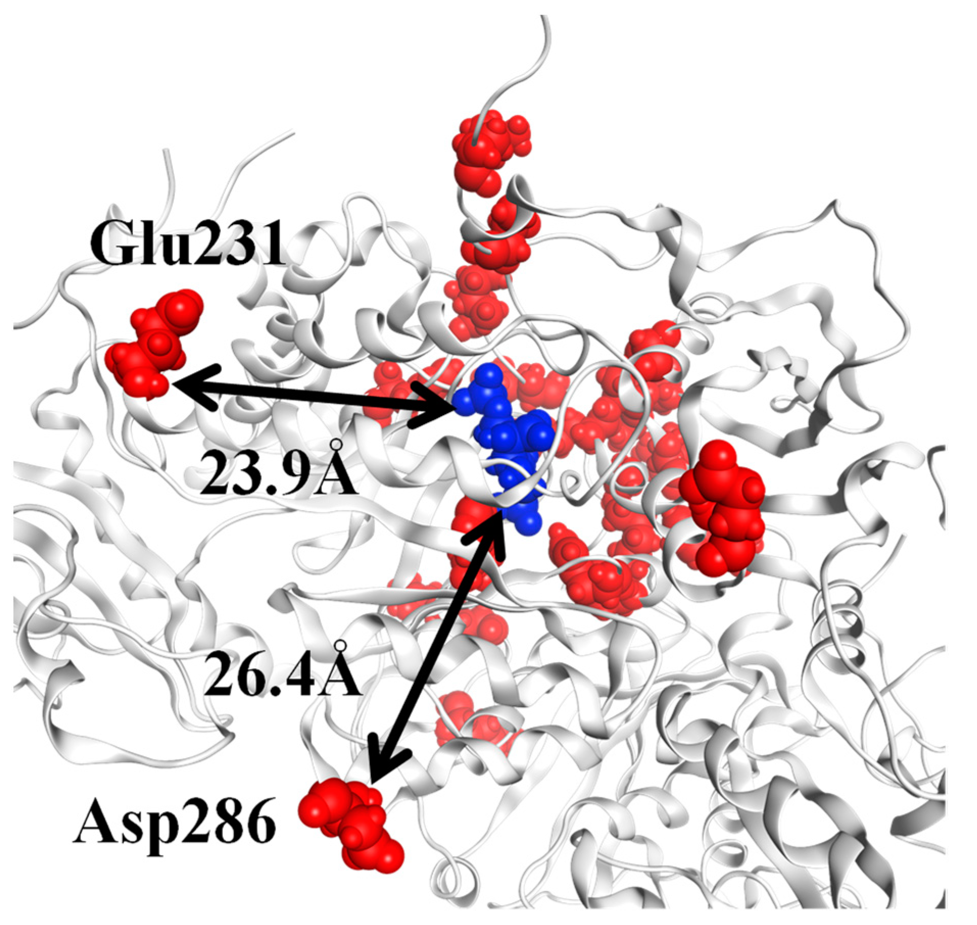 Ijms 23 11347 g008 Ijms 23 11347 g008