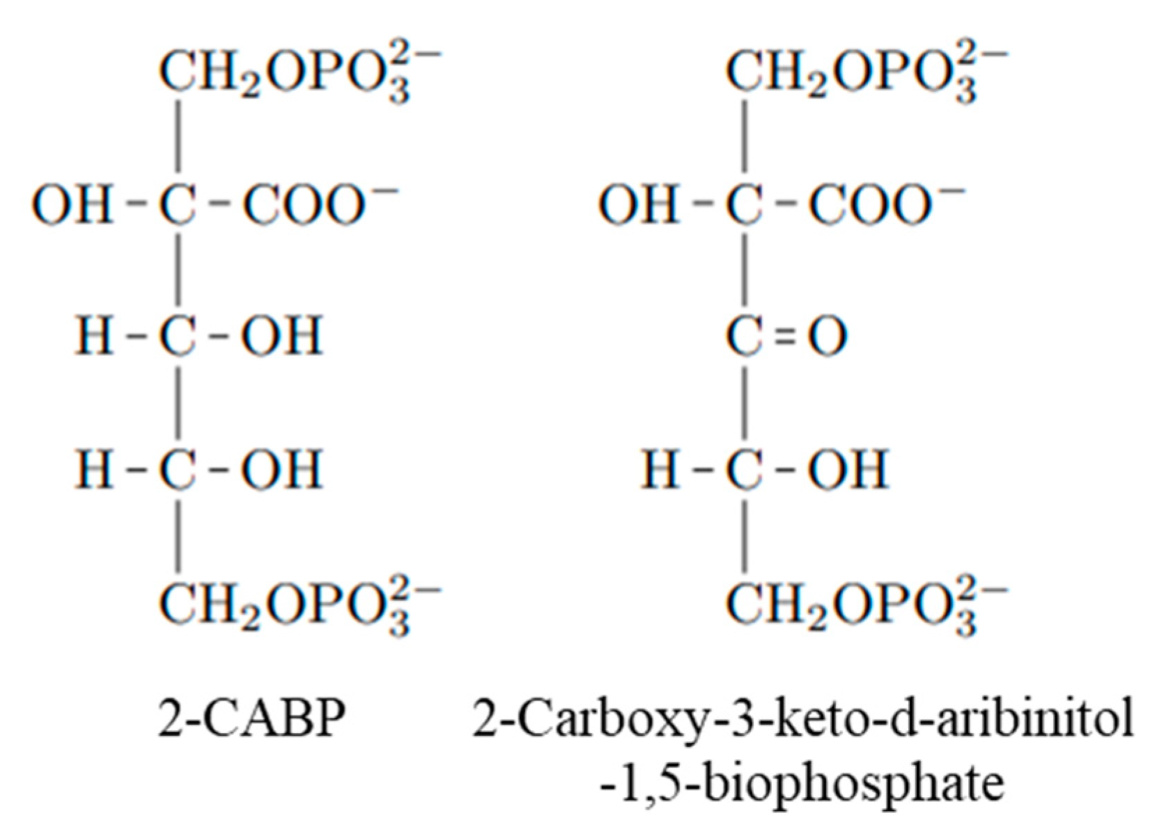 Ijms 23 11347 g014 Ijms 23 11347 g014