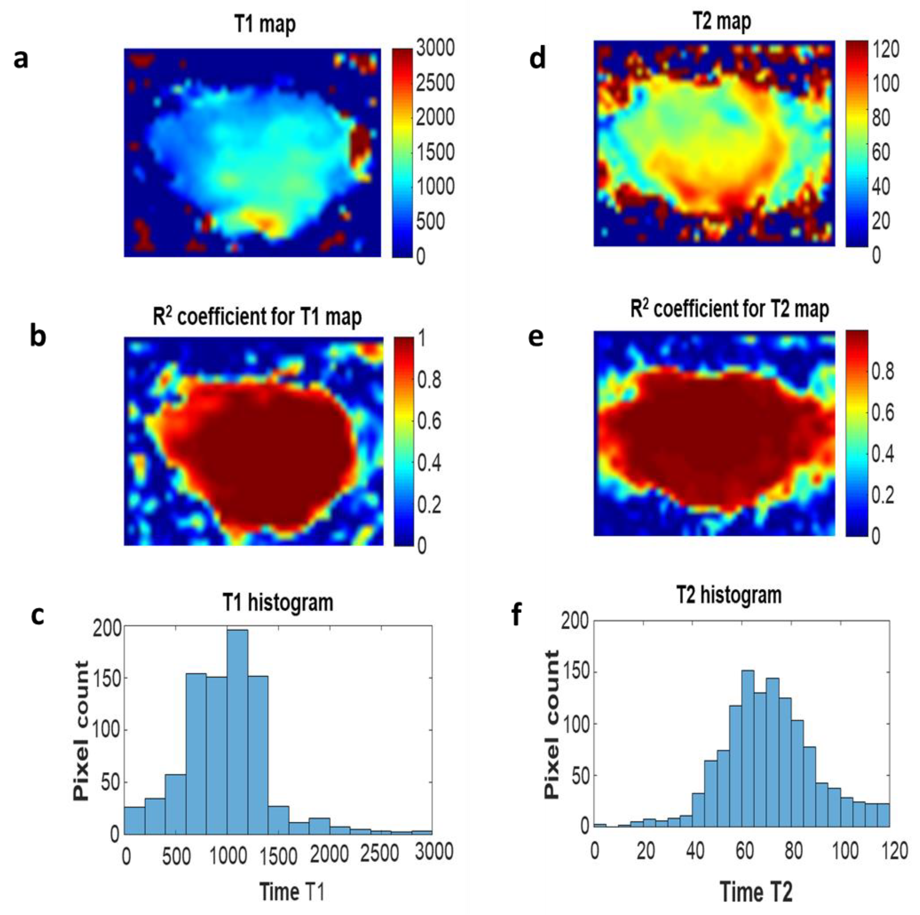 Ijms 23 11354 g005 Ijms 23 11354 g005