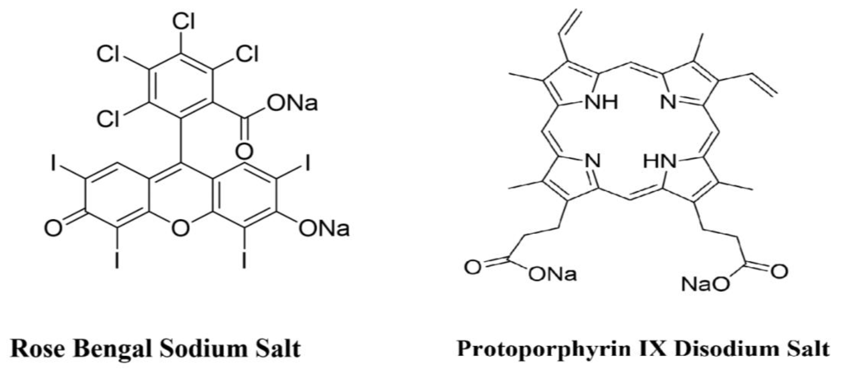 Ijms 23 11354 g006 Ijms 23 11354 g006