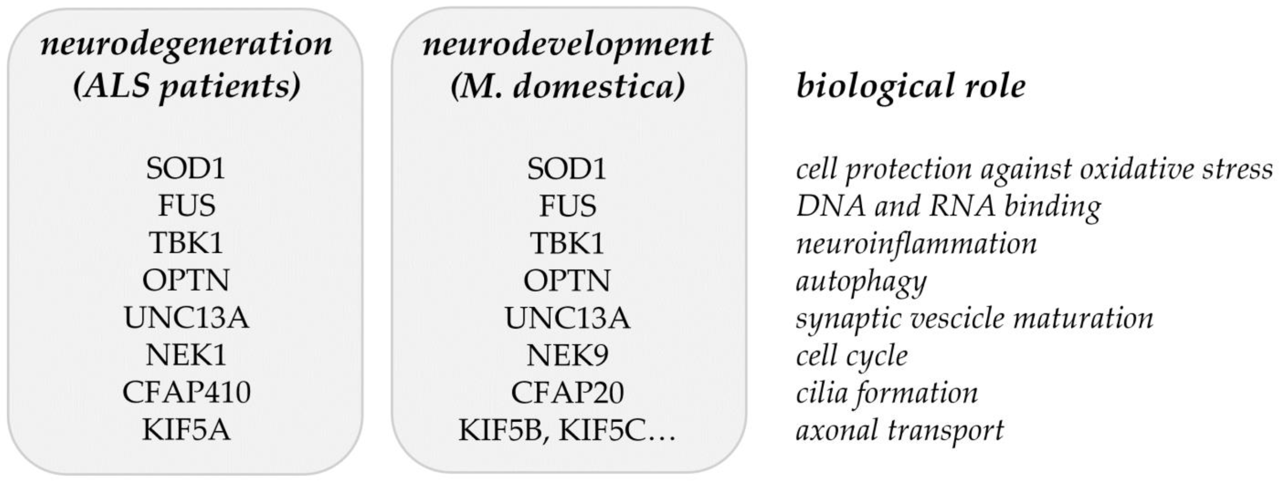 Is there a genetic switch that causes ALS (Lou Gehrig's disease)? - Genetic  Literacy Project