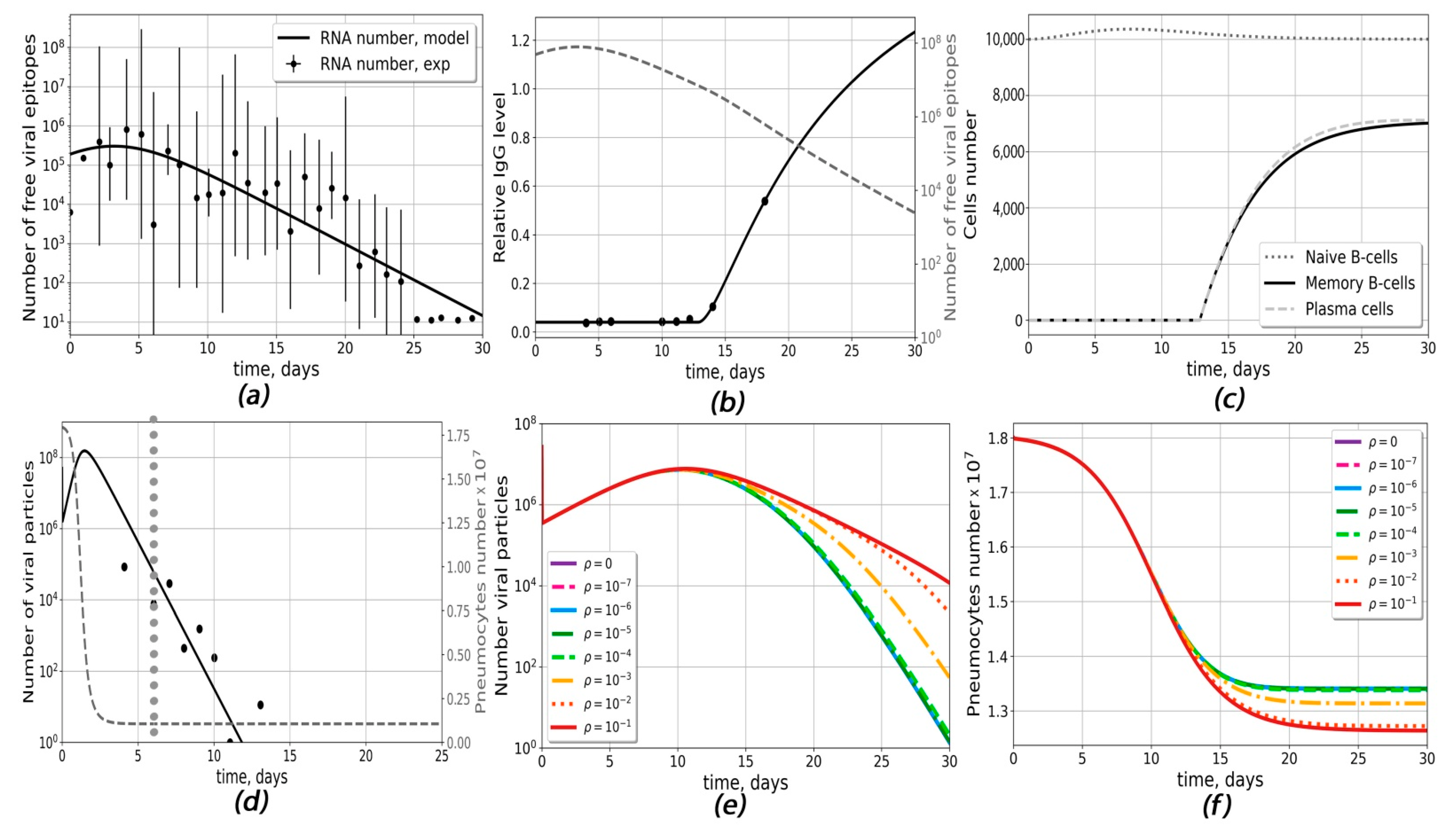 Ijms 23 11364 g001 Ijms 23 11364 g001