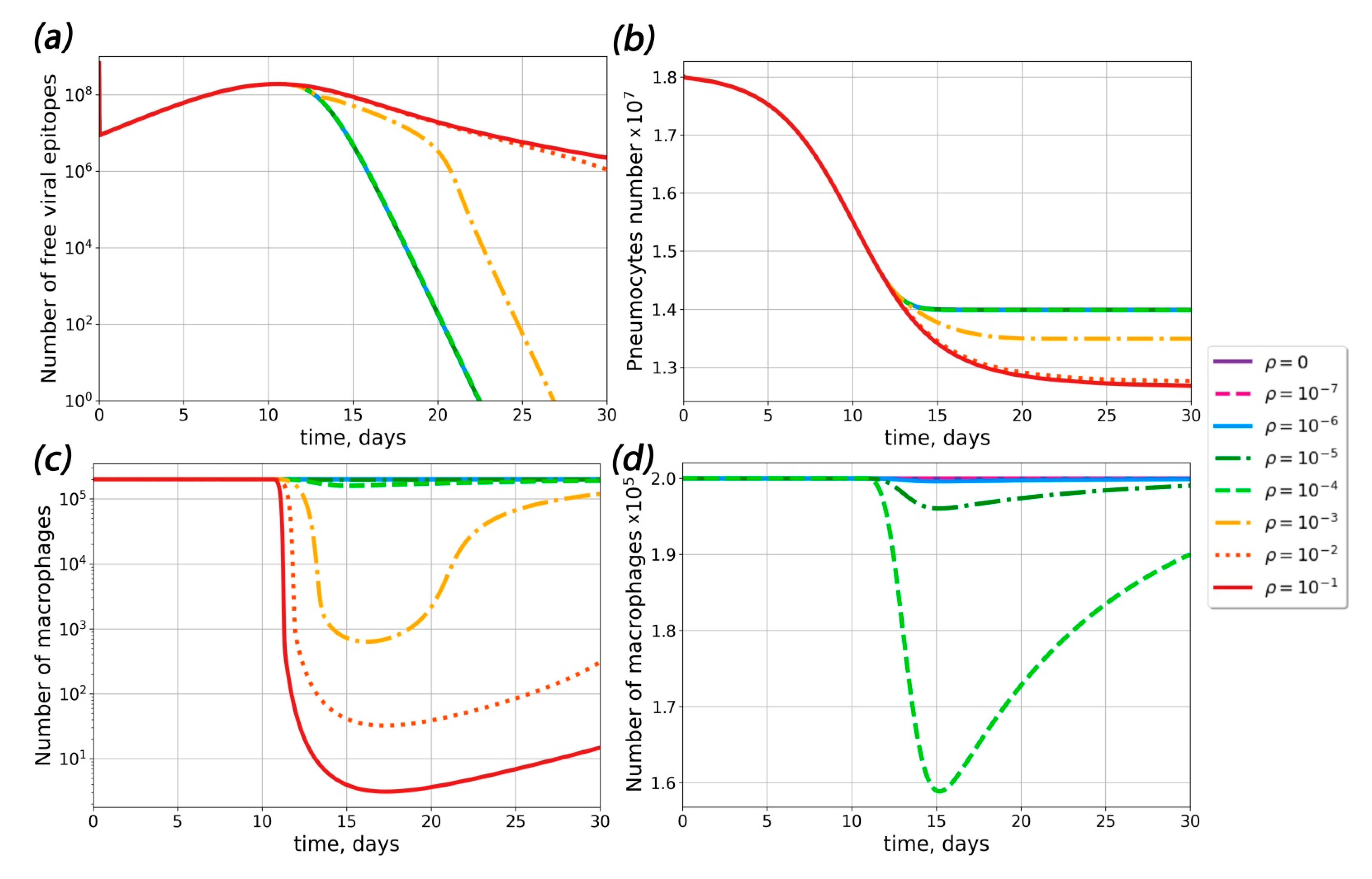 Ijms 23 11364 g003 Ijms 23 11364 g003