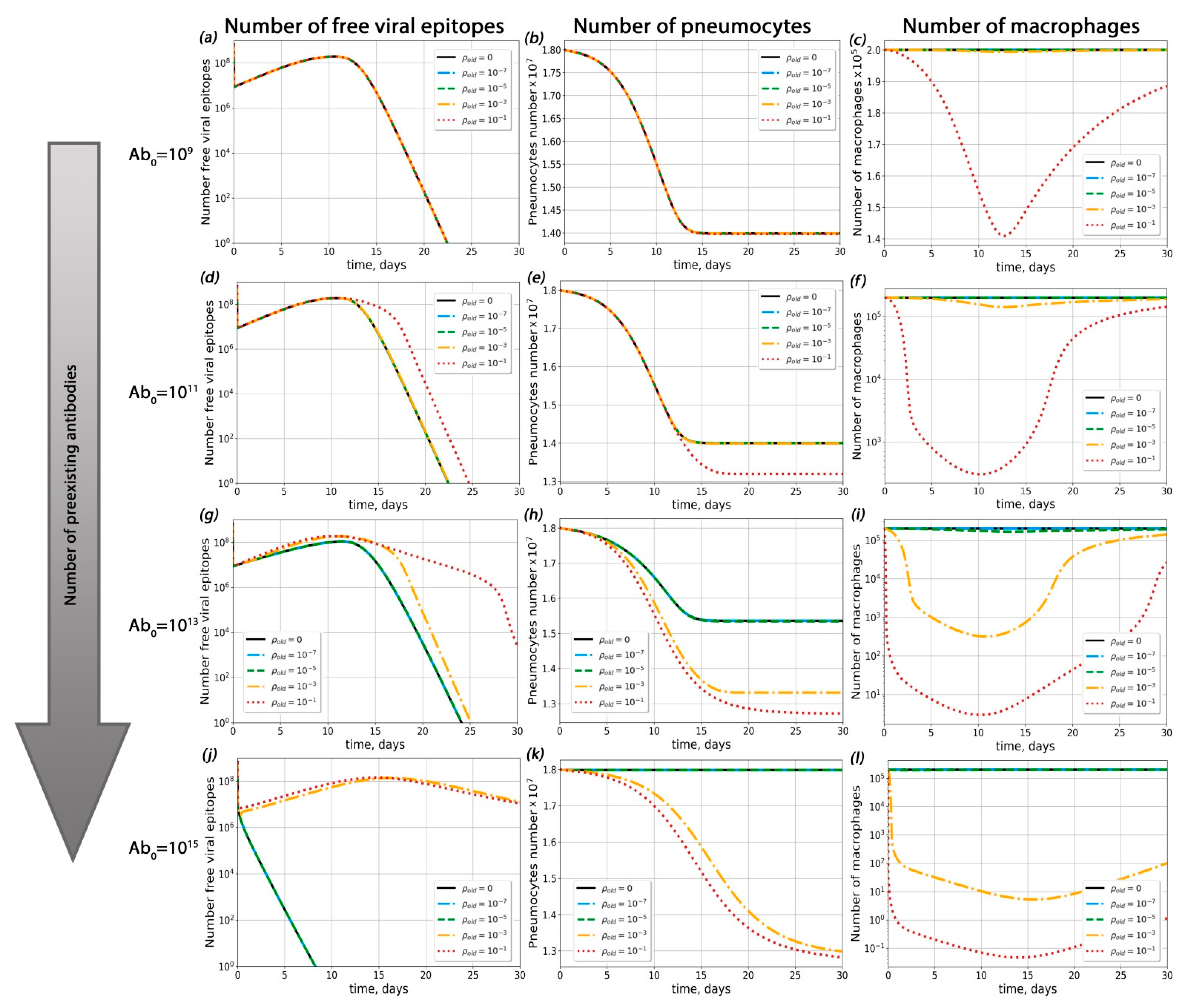 Ijms 23 11364 g004 Ijms 23 11364 g004